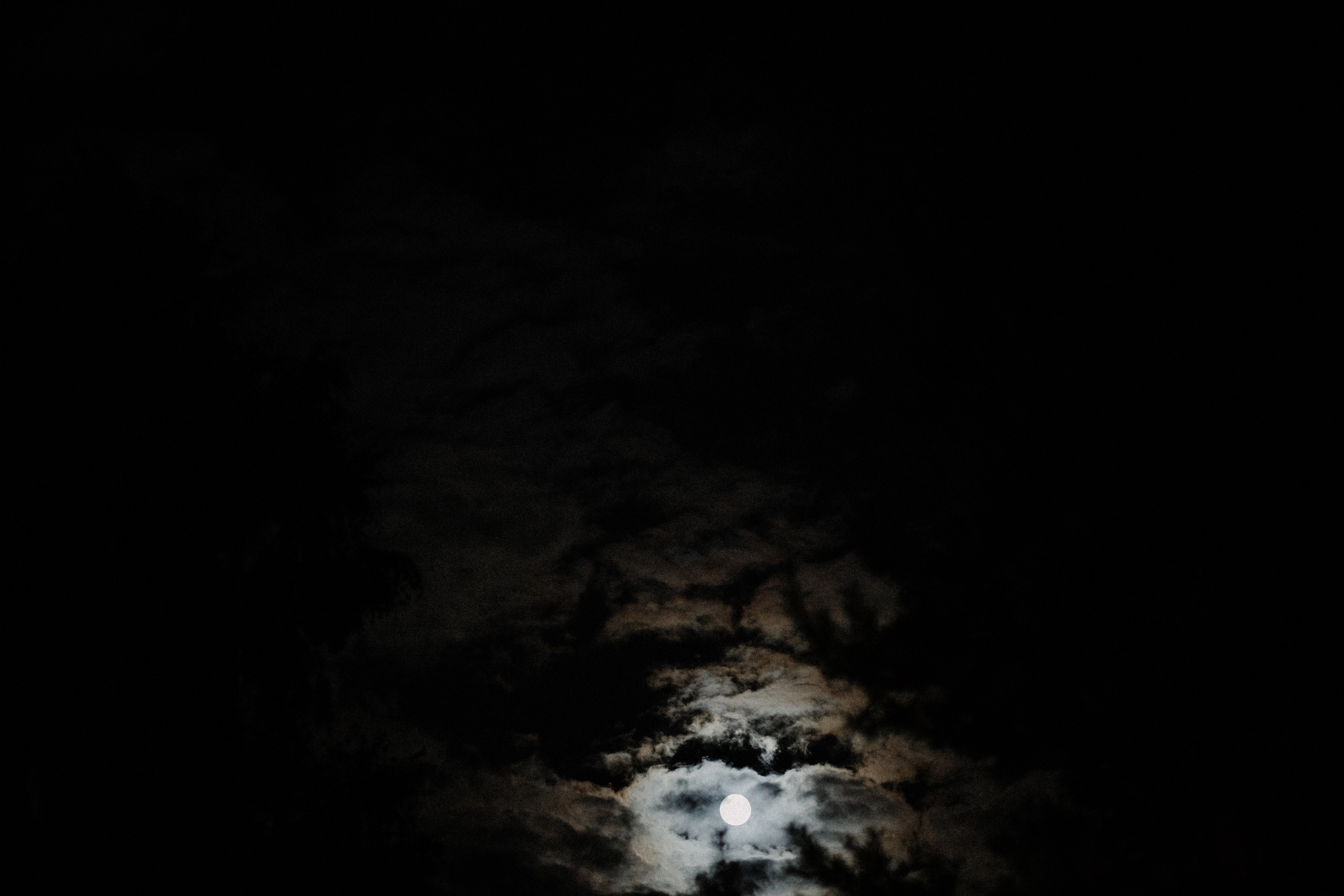 Юсси и Таня. Фотограф Аня Безяева