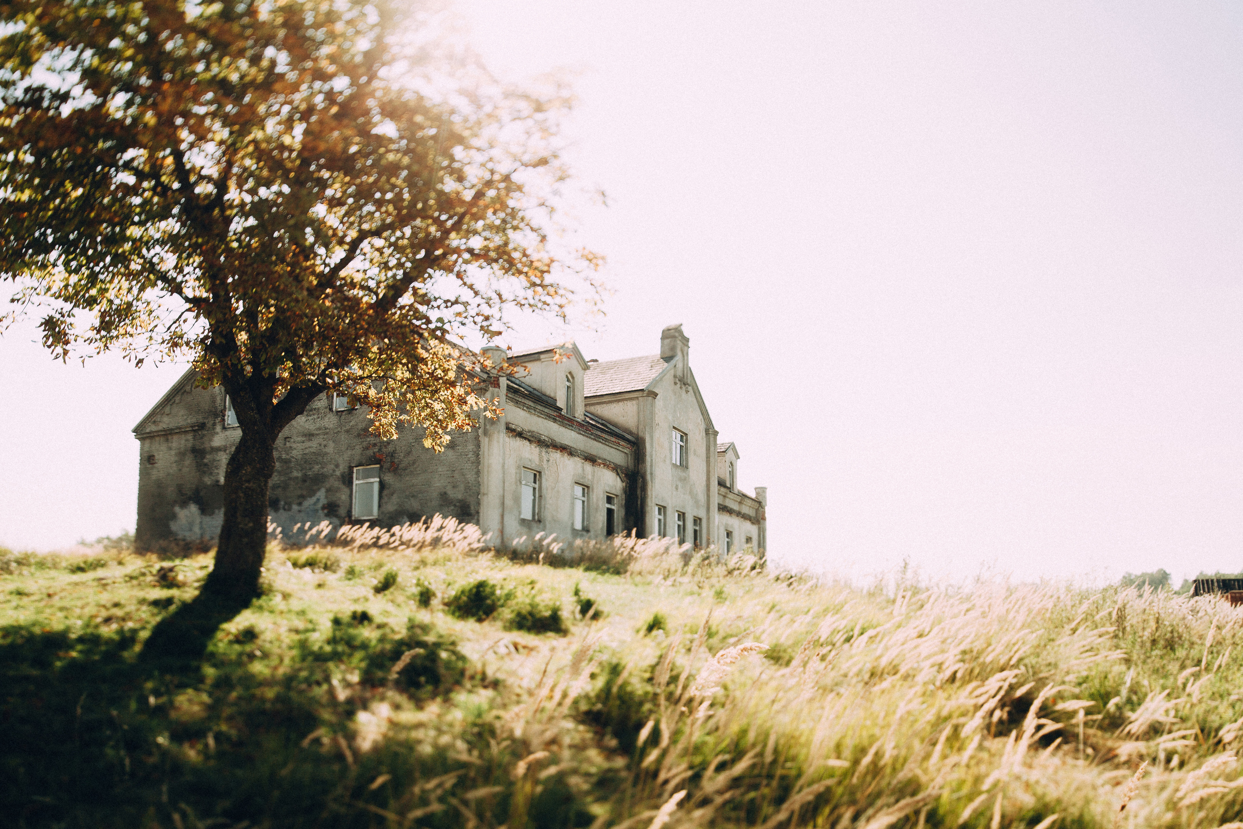 Арина и Антон, 2014. Фотограф Аня Безяева