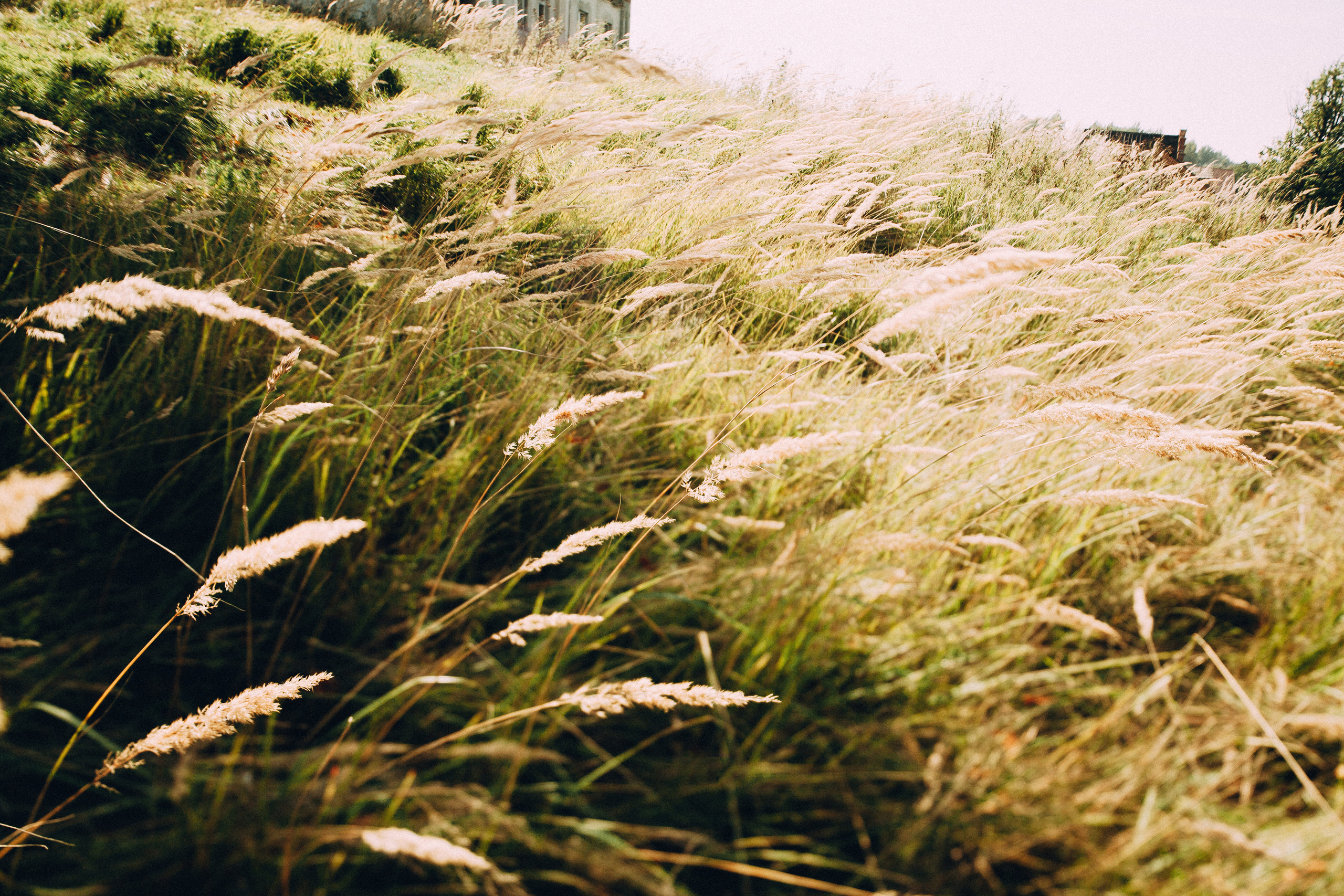 Арина и Антон, 2014. Фотограф Аня Безяева