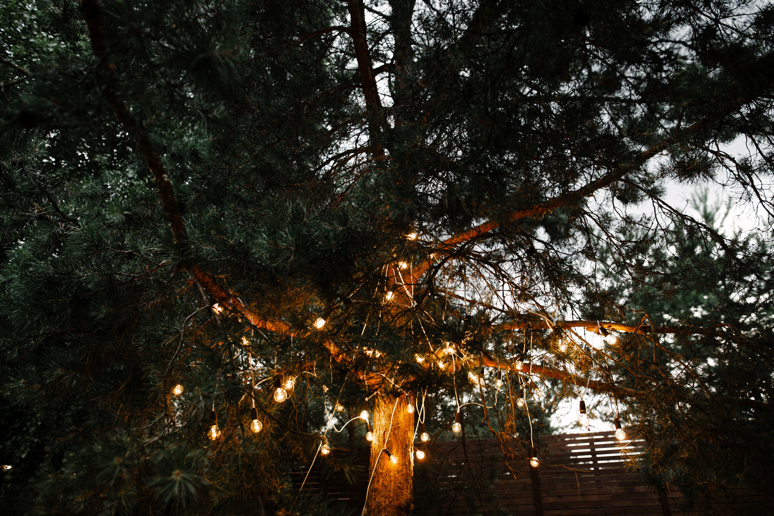 Юсси и Таня. Фотограф Аня Безяева