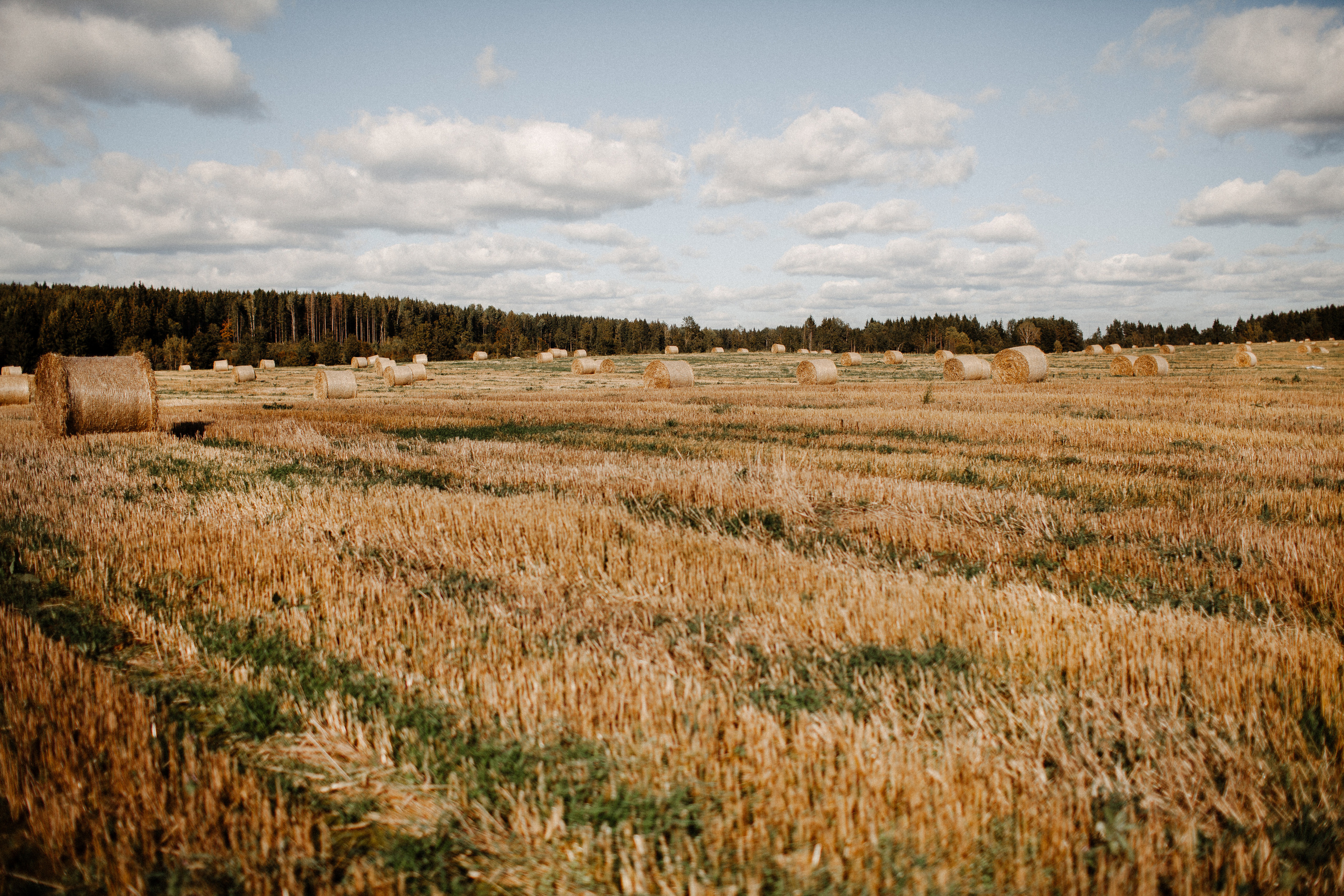 Настя и Андрей. Фотограф Аня Безяева
