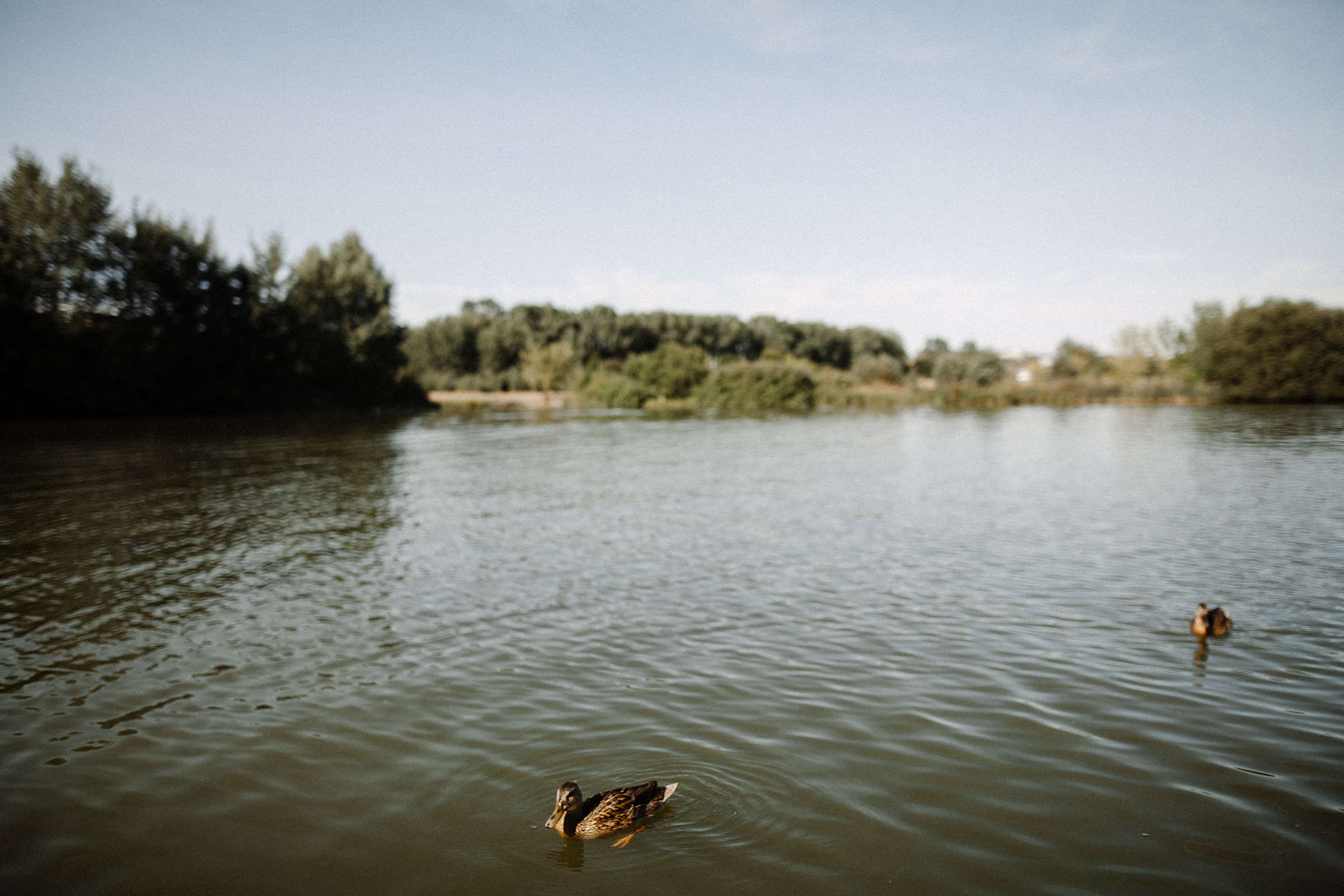 Алина и Алексей. Фотограф Аня Безяева
