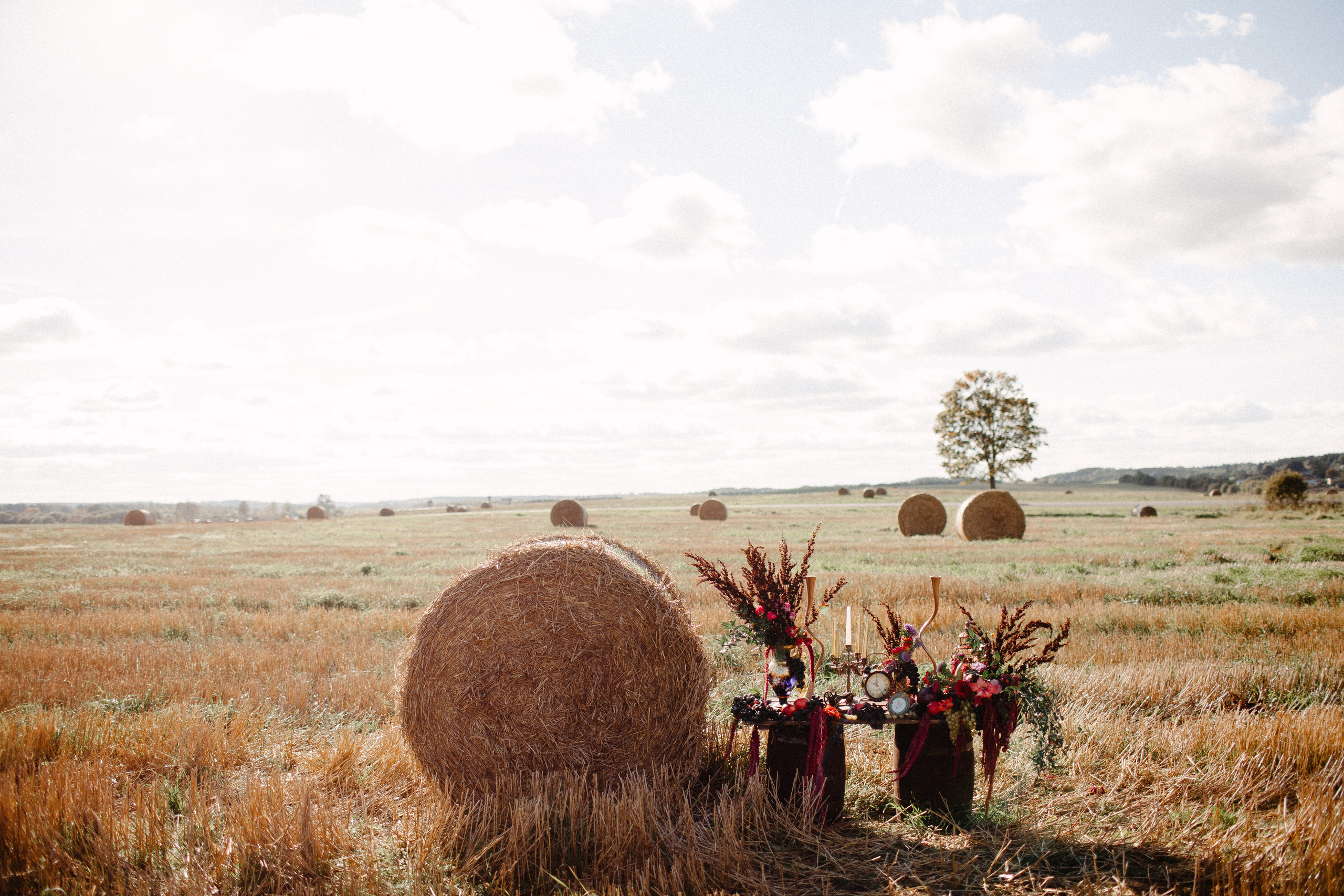 Настя и Андрей. Фотограф Аня Безяева