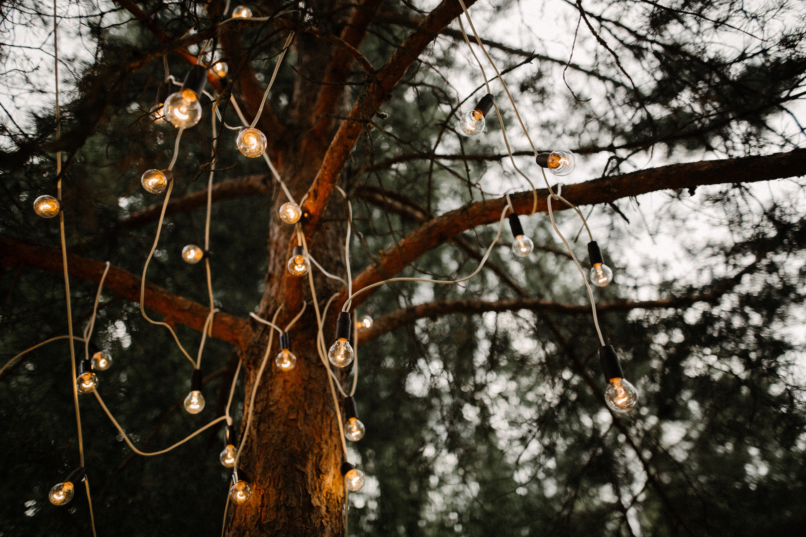 Юсси и Таня. Фотограф Аня Безяева