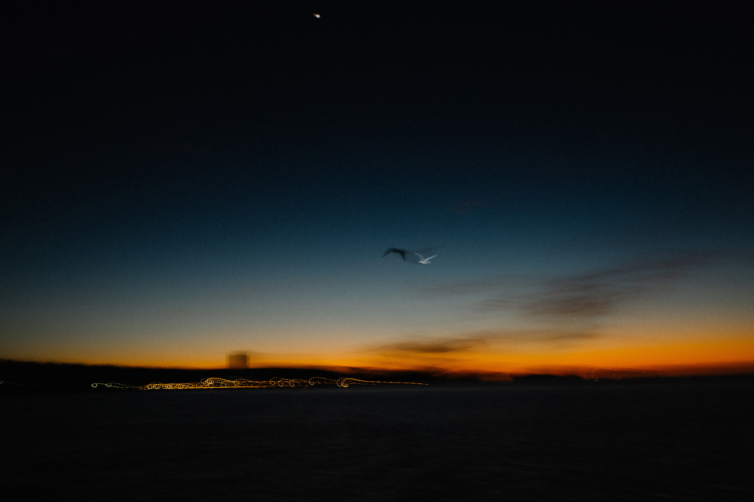 Алина и Алексей. Фотограф Аня Безяева