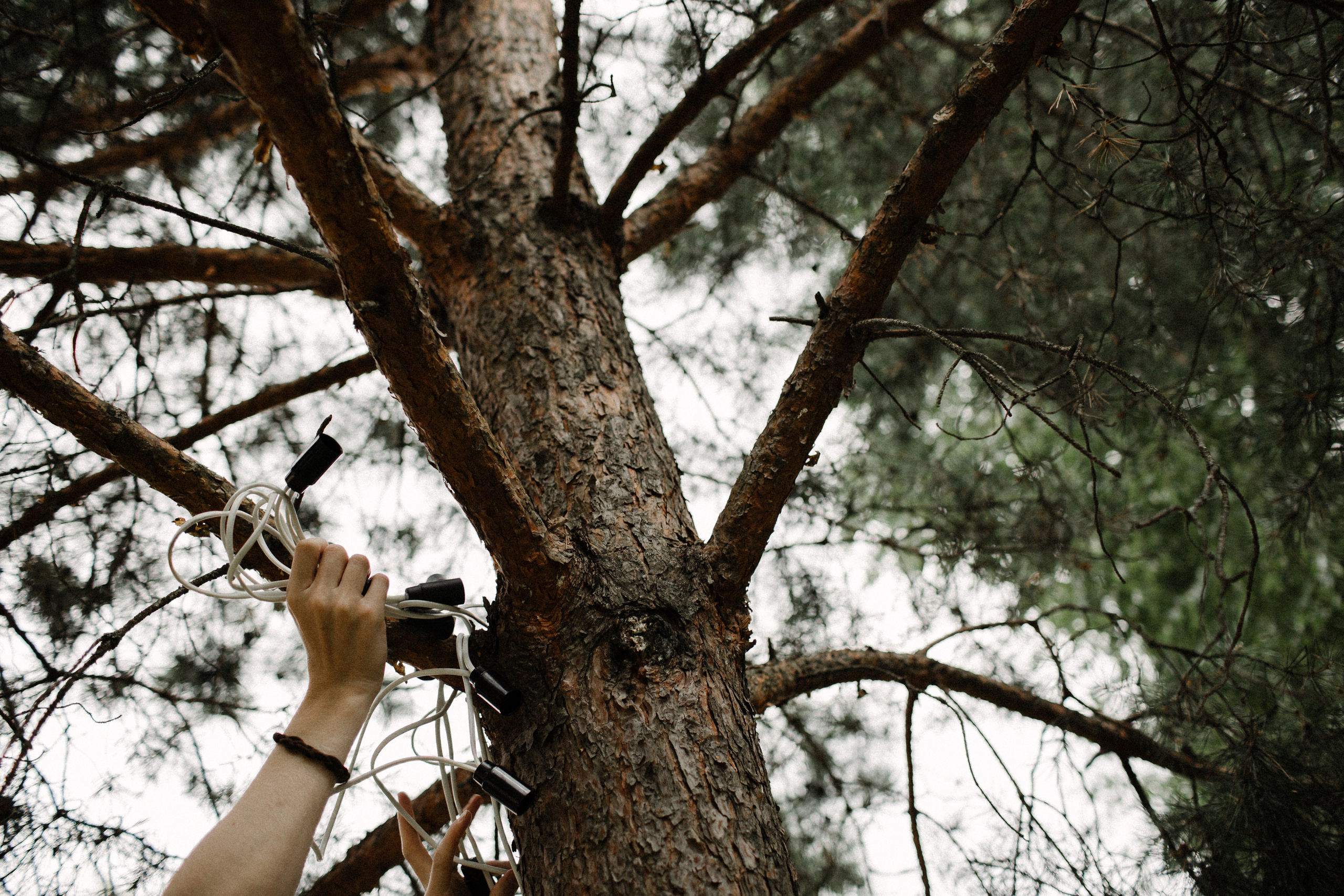 Юсси и Таня. Фотограф Аня Безяева