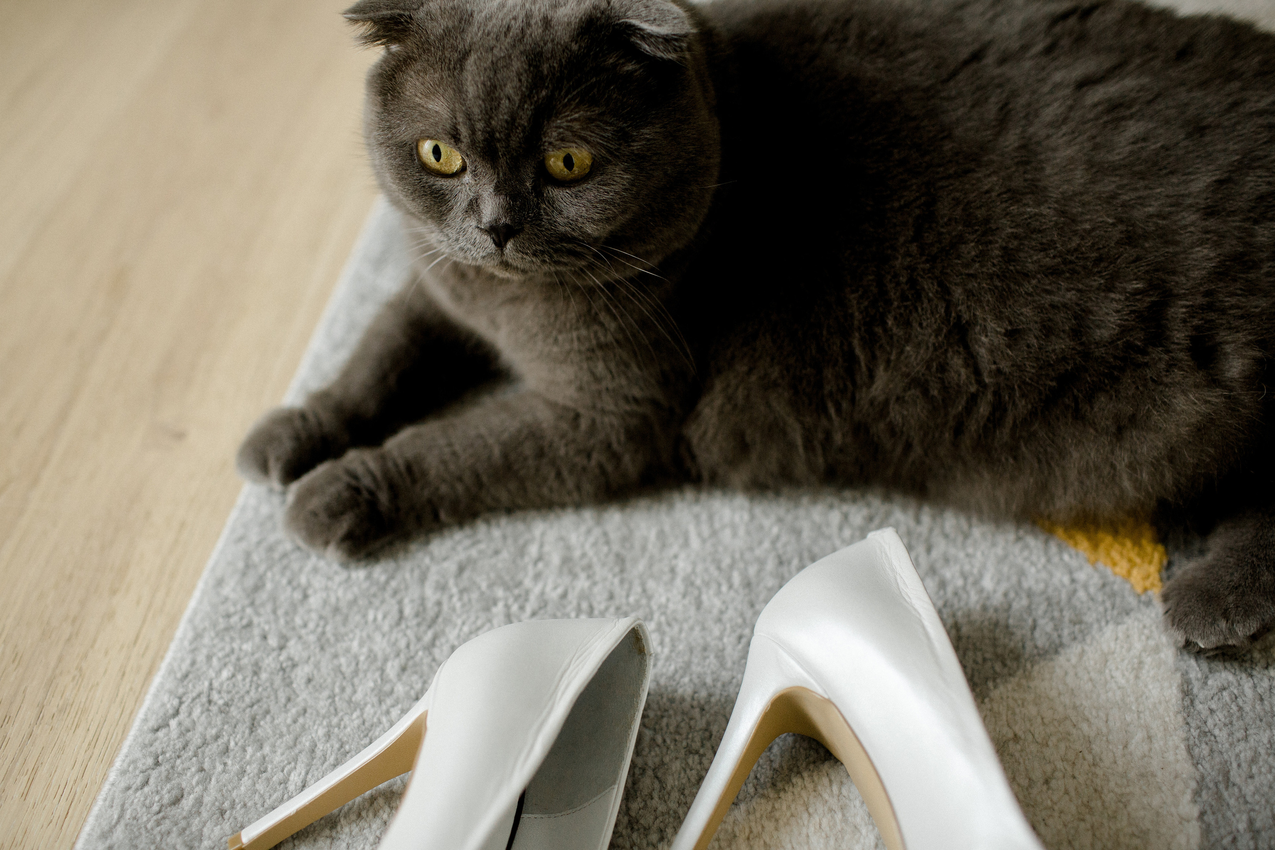 Однажды в июле. Фотограф Аня Безяева