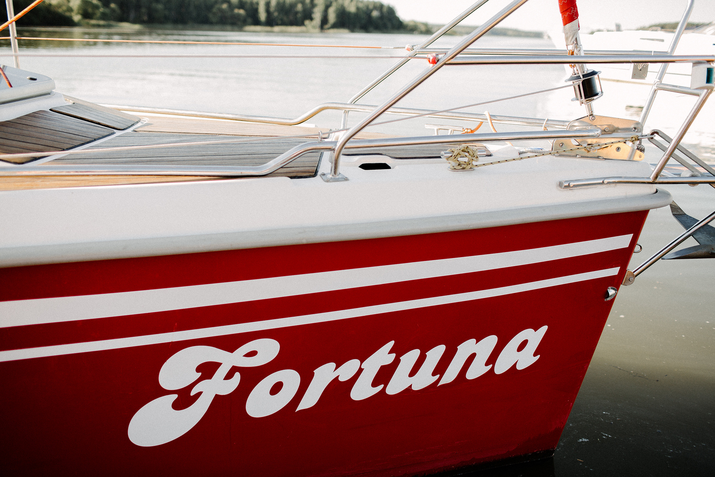 Алина и Алексей. Фотограф Аня Безяева