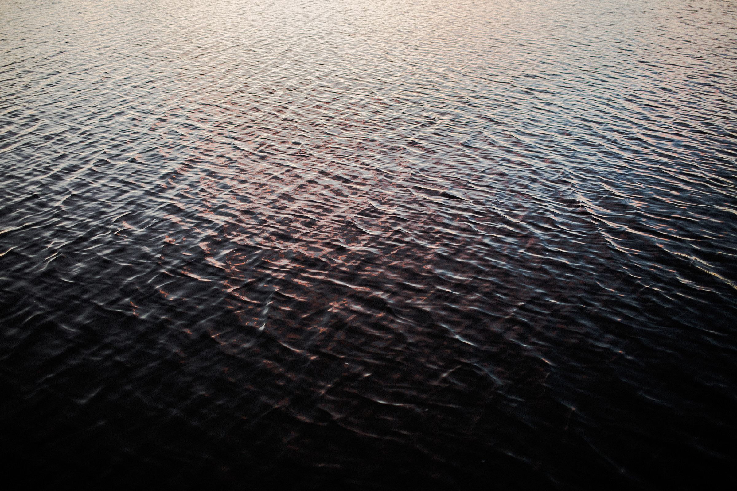 Алина и Алексей. Фотограф Аня Безяева