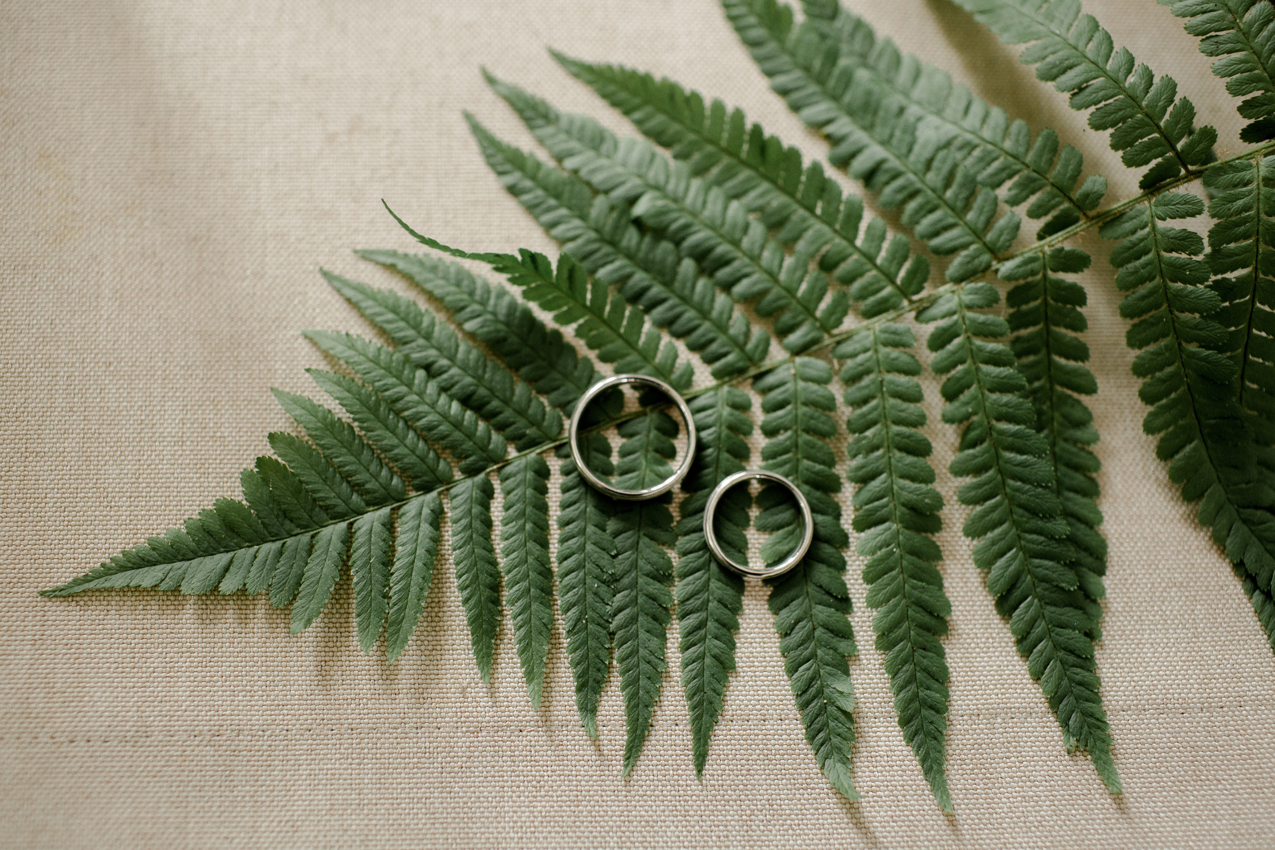 Однажды в июле. Фотограф Аня Безяева