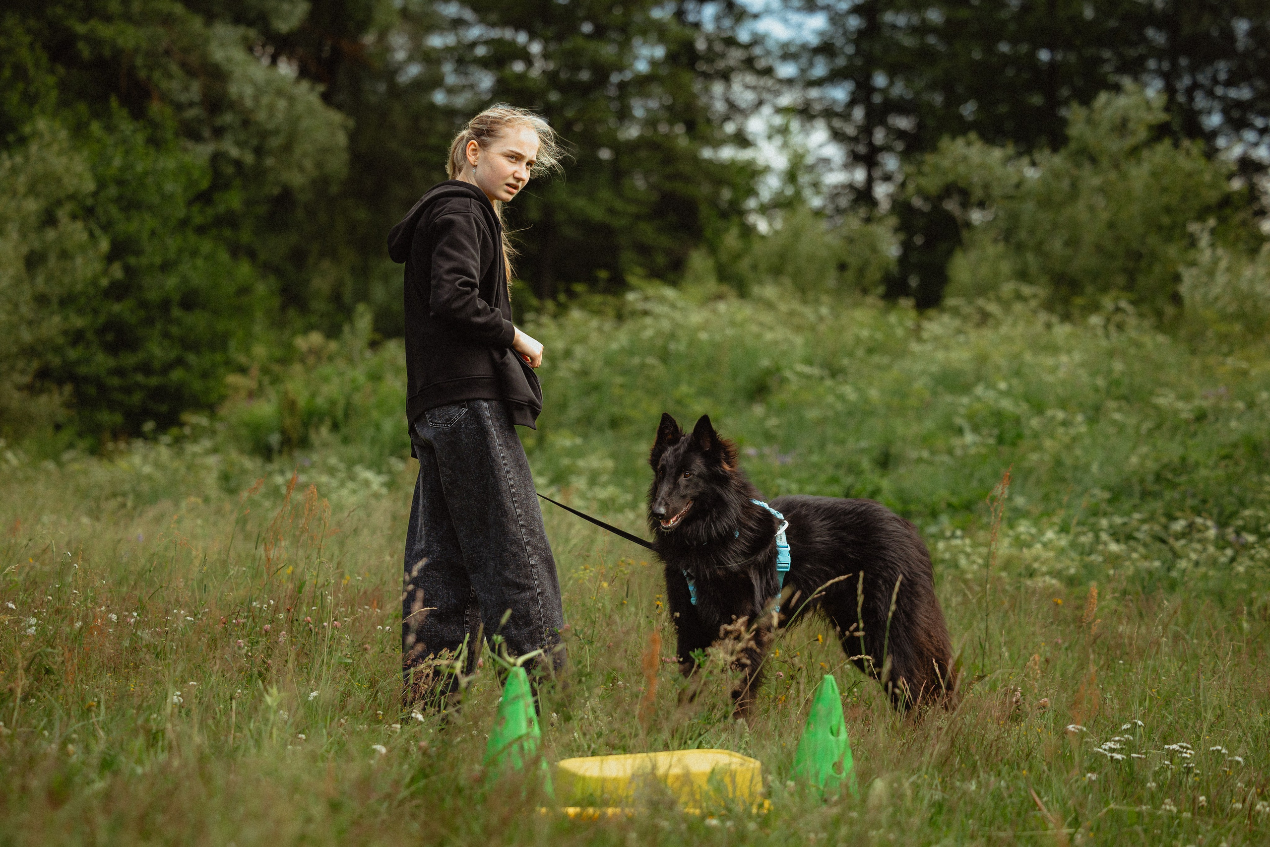 Выездной дог-тренинг от школы «Шерсть имею»