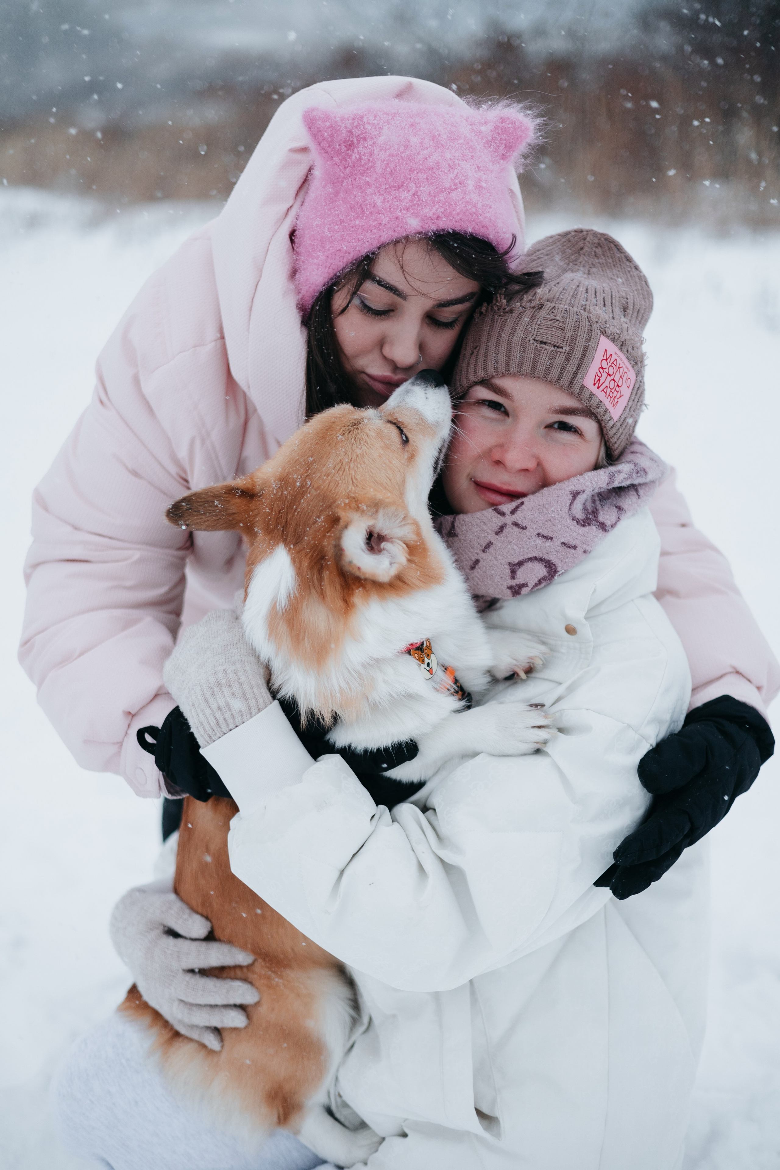 Лена, Лиза и Мия. Фотограф — анималист Владивосток, Алина