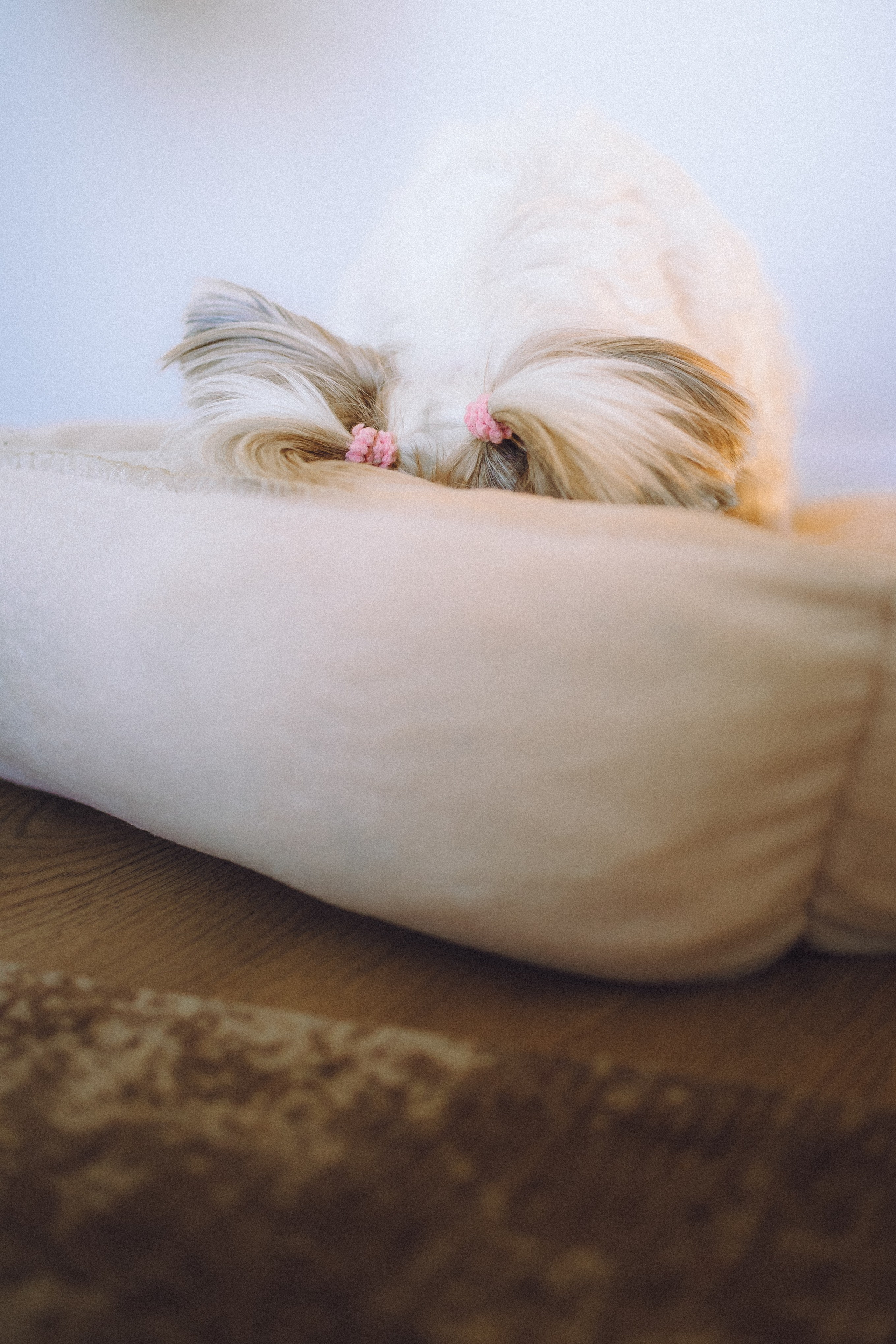 День Рождения Шу