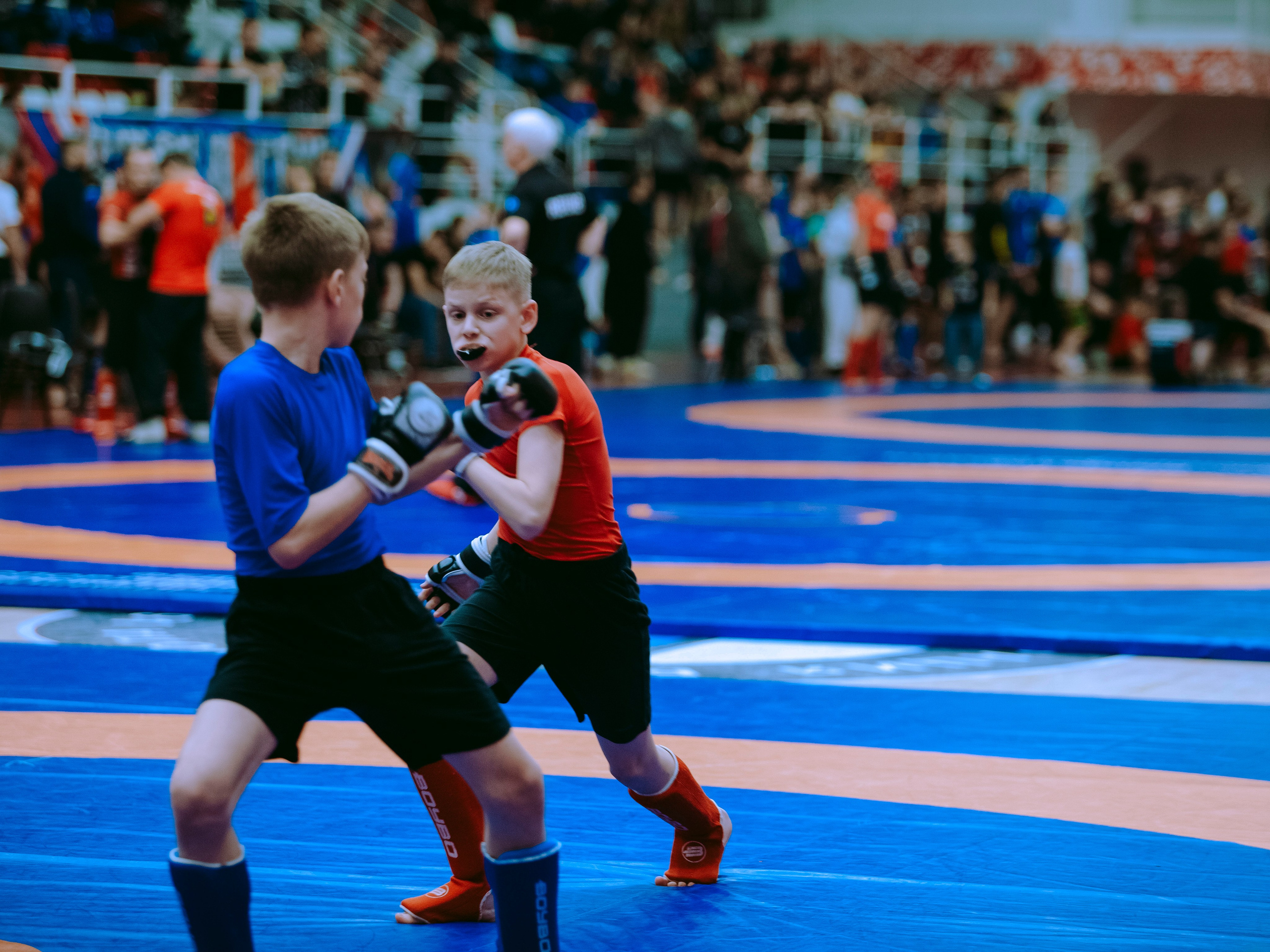 Кубок России по спортивной борьбе панкратион `23. Портретный фотограф в Москве Дарья Цезария