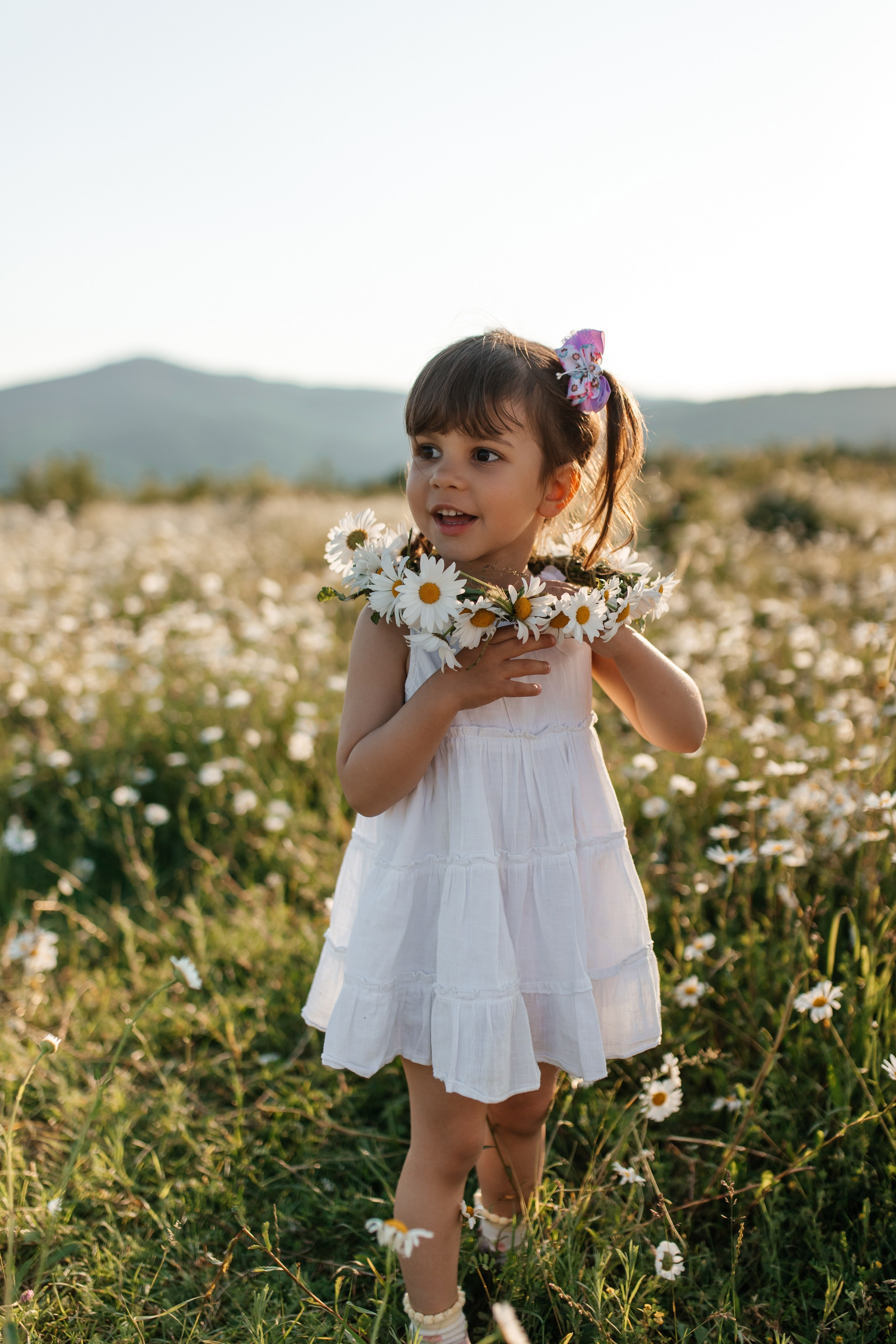 Daisies. ФОТОГРАФ