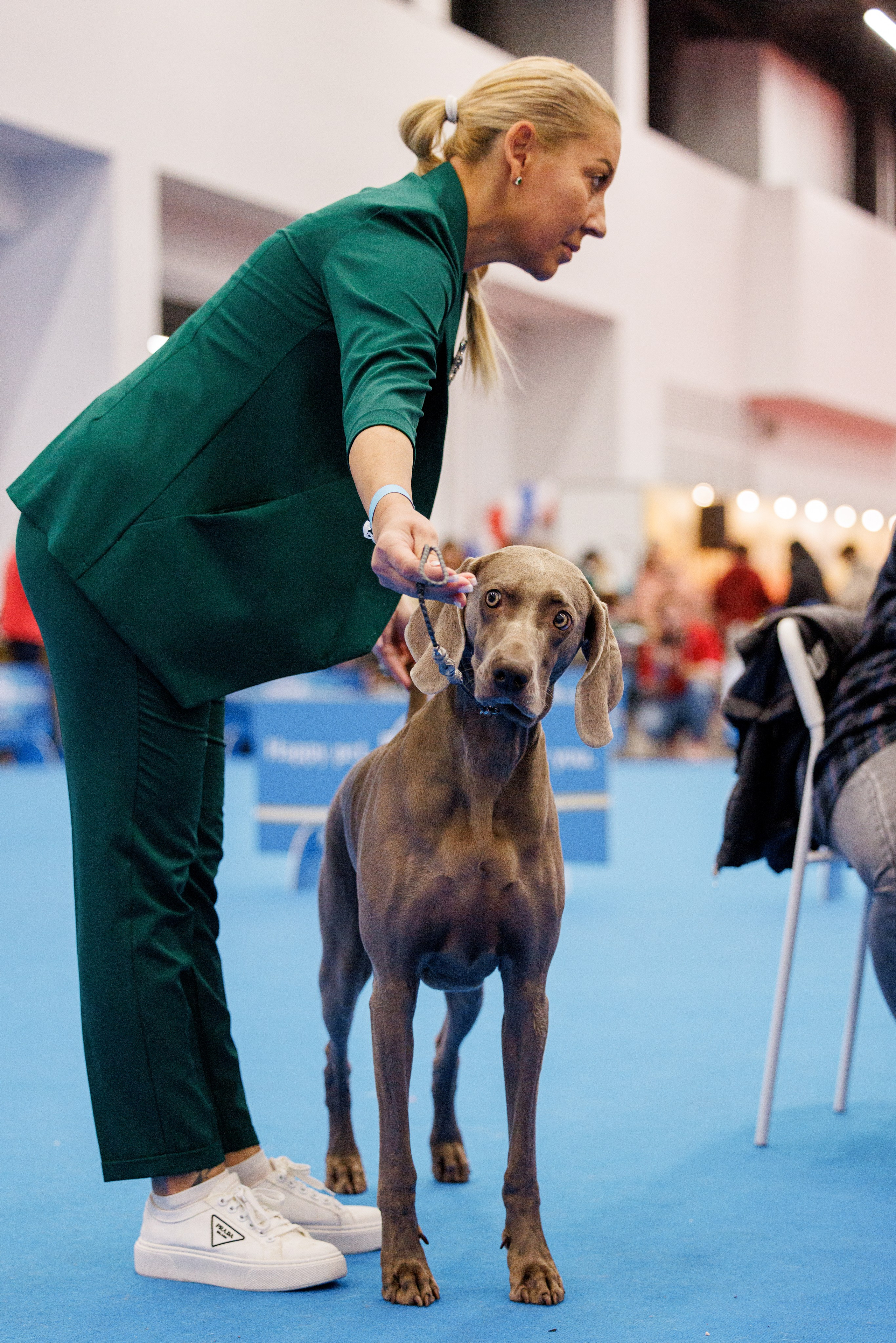 Нижний Новгород 21-22.10.2023. Фотограф-анималист Юлия Германика