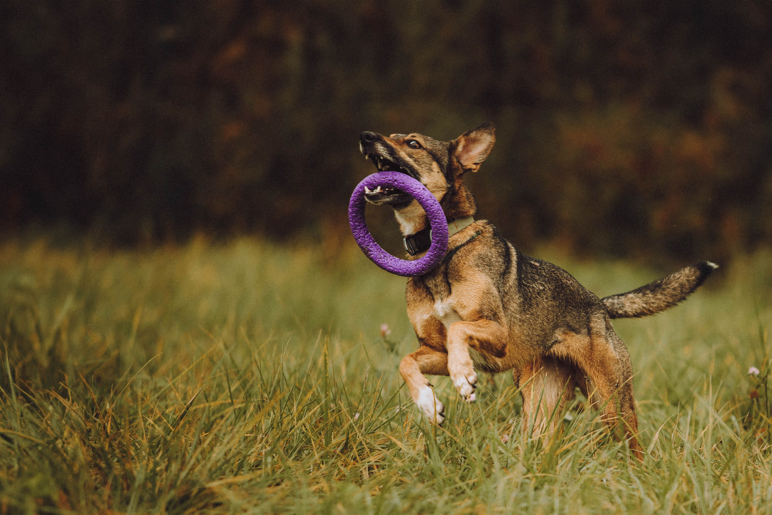 Аня, Нео и Луна