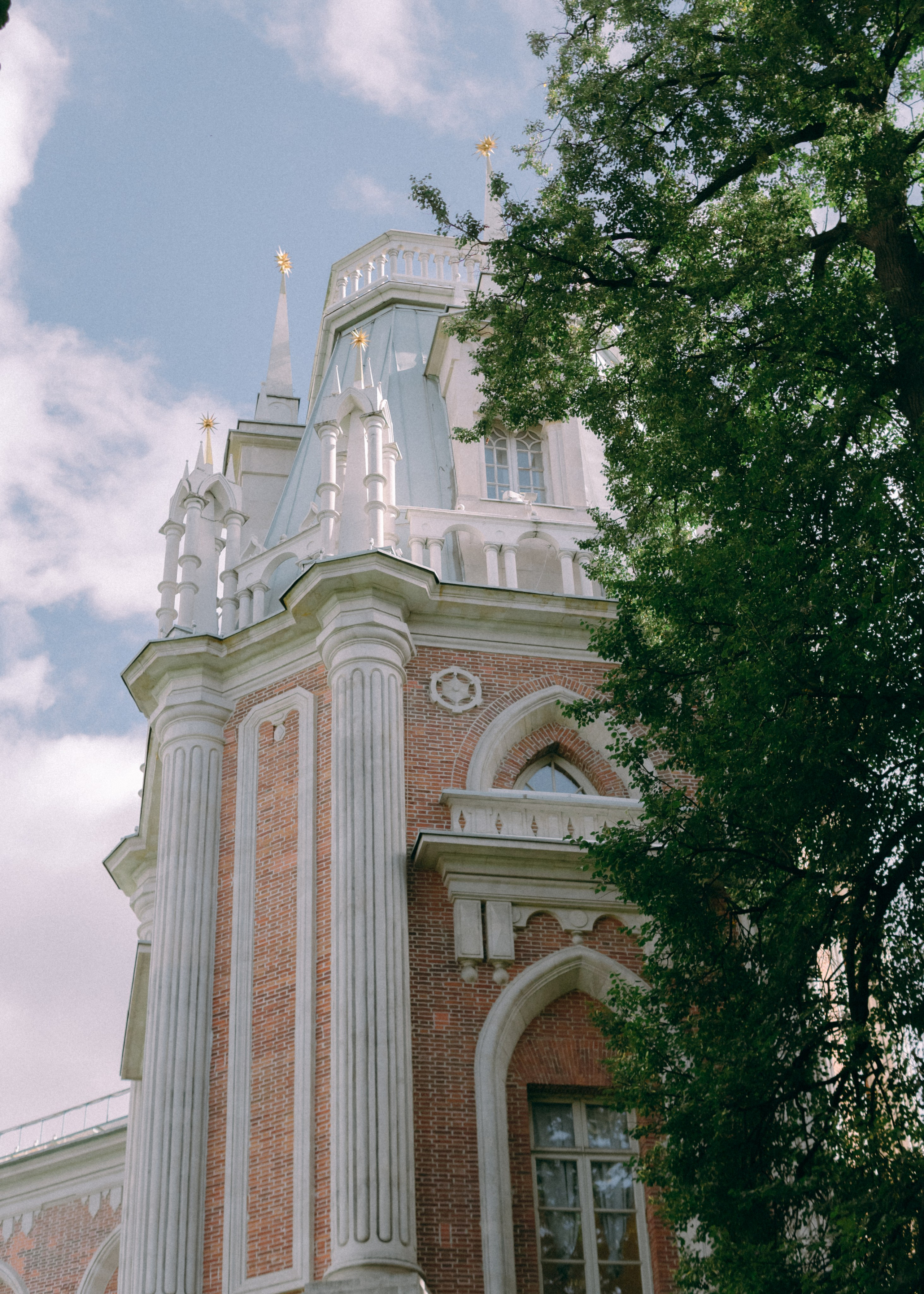 Свадебная лавстори Димы и Милены. Фотограф-анималист Ксения Воробьева, Москва