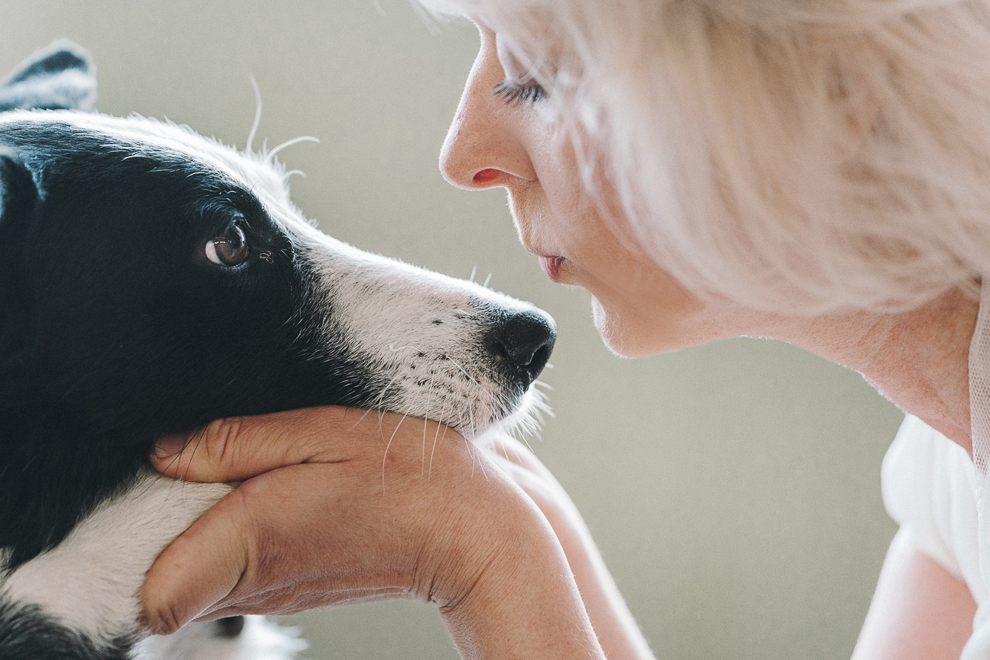 Таня, Марта и Клипса. Фотограф анималист в Москве и Санкт-Петербурге Свиридова Анна