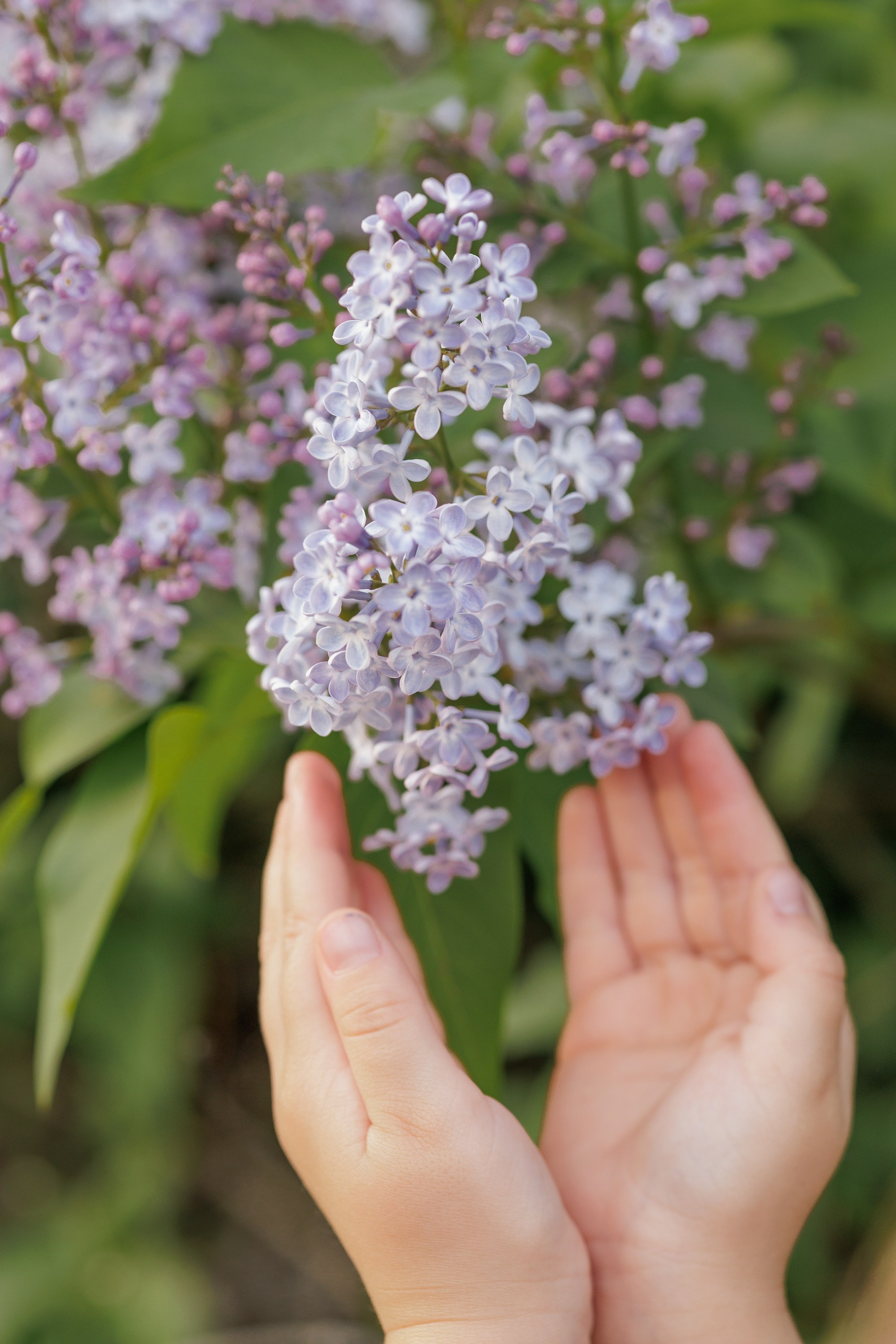 Детская. Женский и семейный фотограф Алина Влади