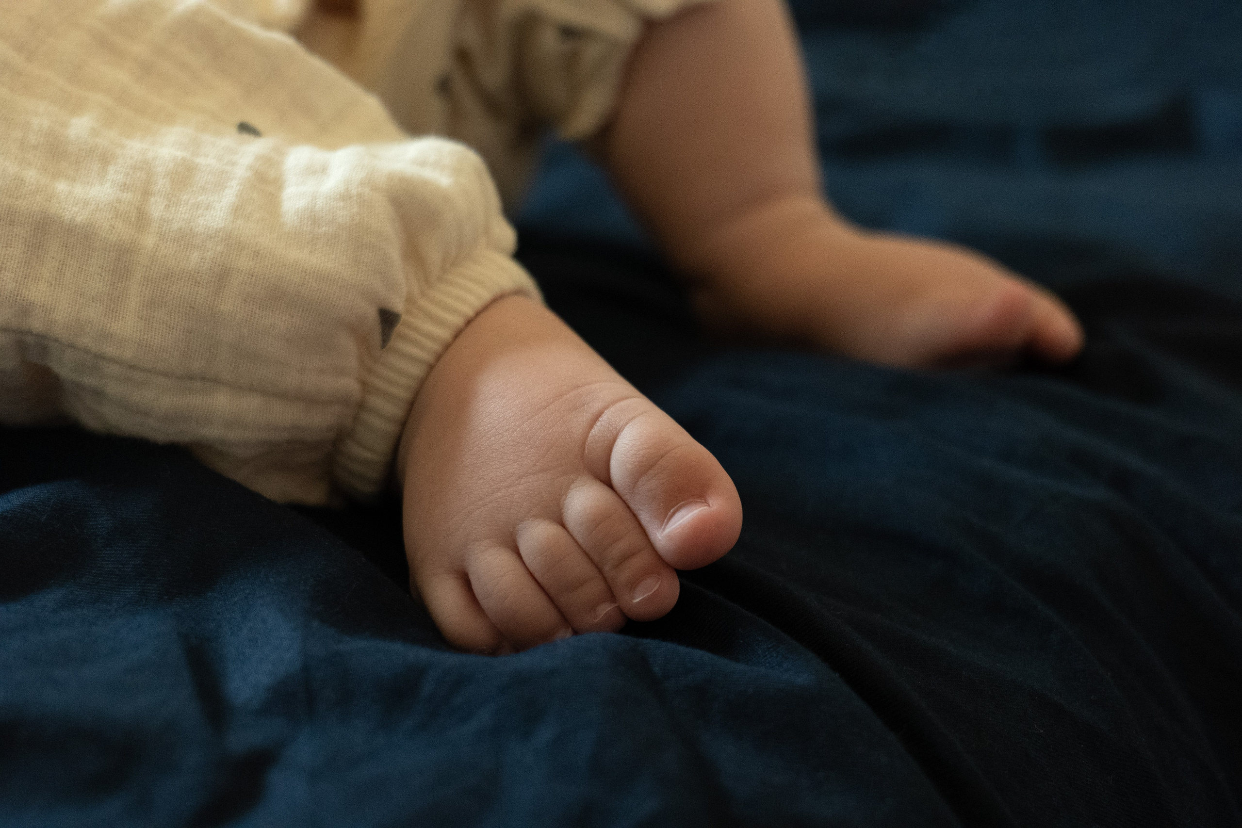 Лёве 8 месяцев. Фотограф видеограф Ольга Василевская