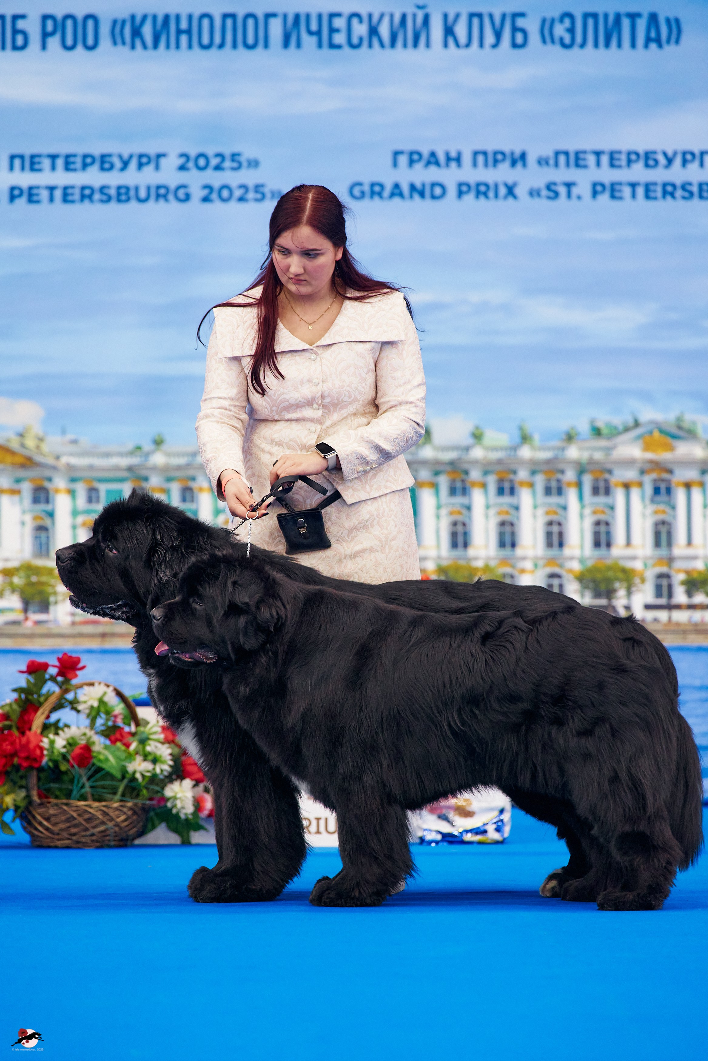 27.04.2025 | "Петербург-Элита 2025" & «КУБОК «ЭЛИТЫ»-2025»