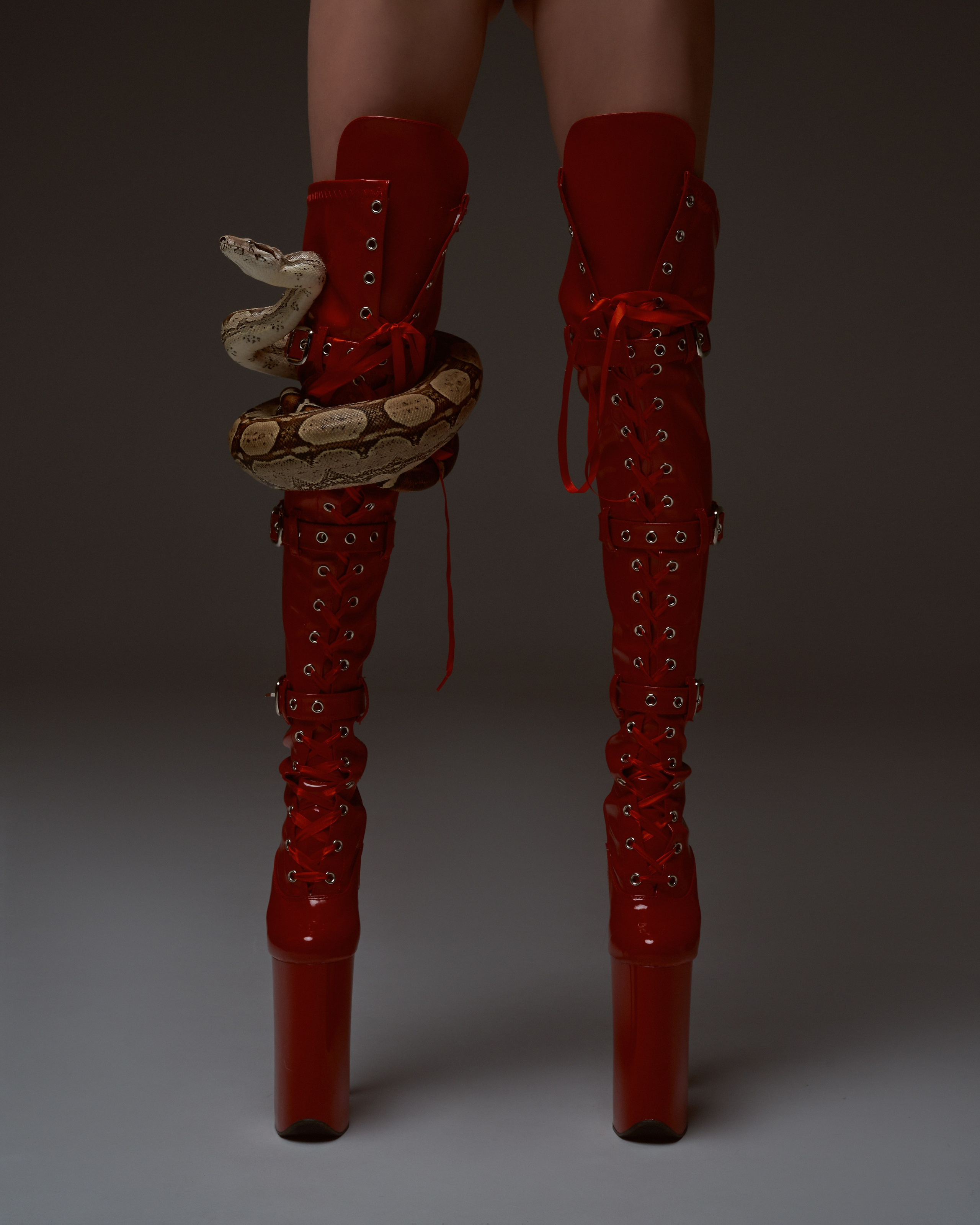 Съёмка со змеями