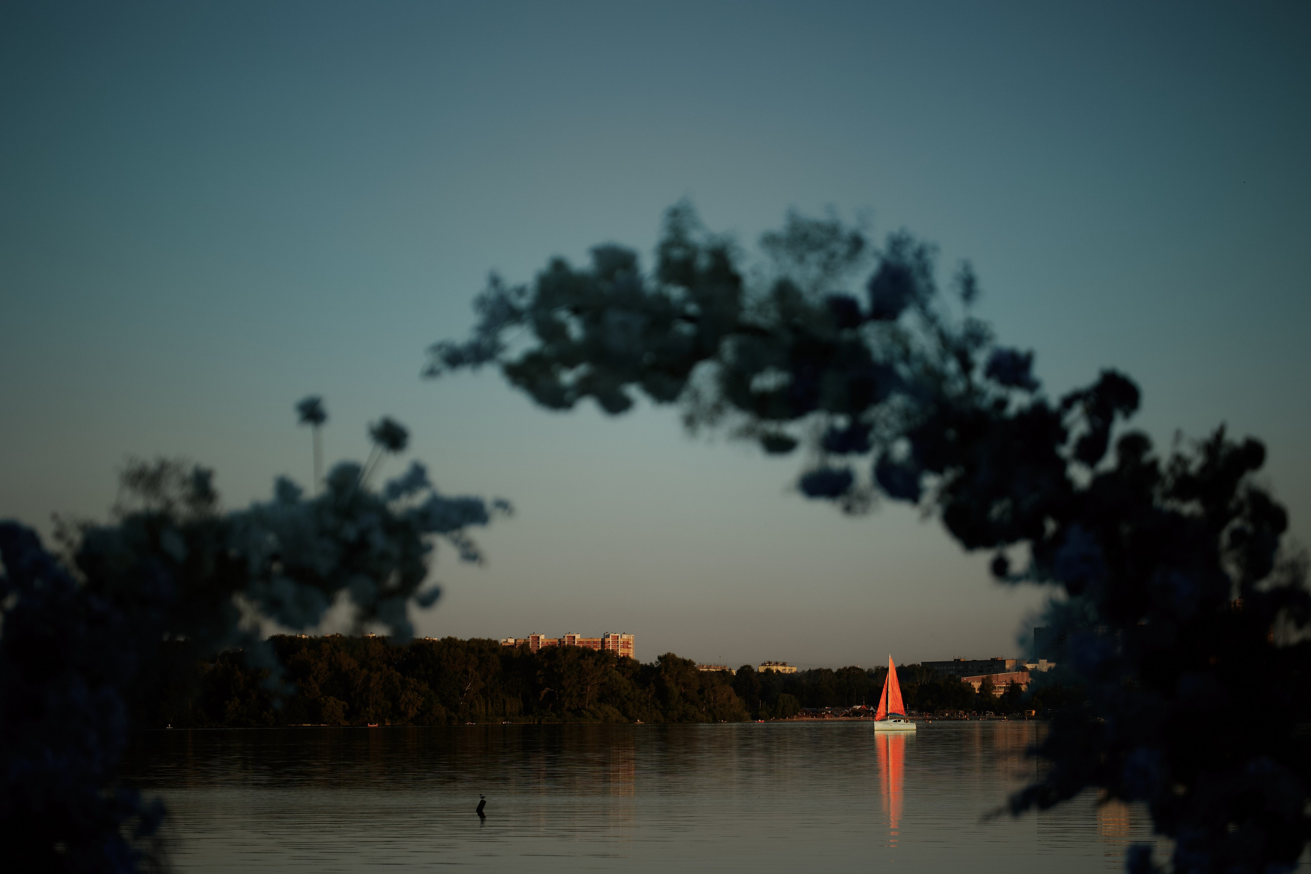 Y&D. Свадебный и репортажный фотограф