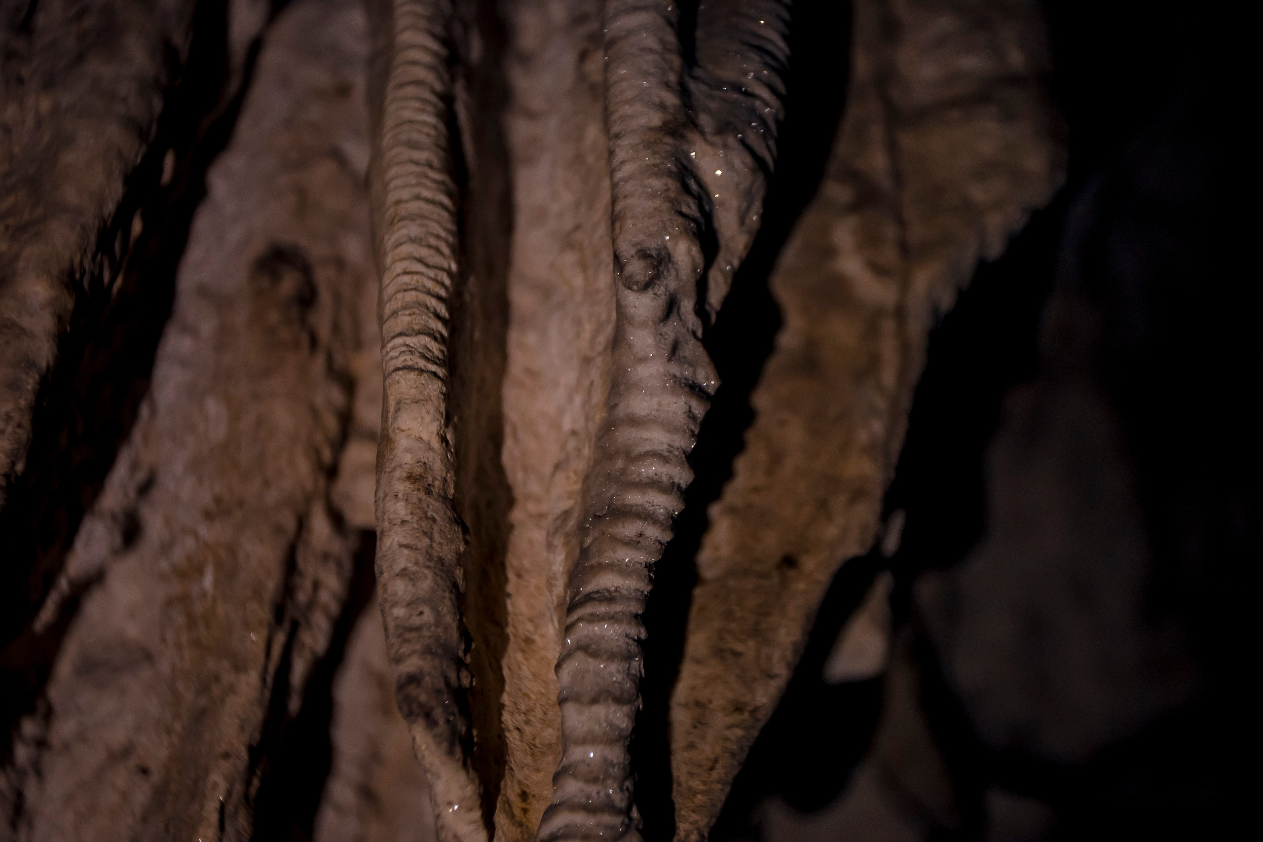 Andaman Islands, Part2. Art Photographer