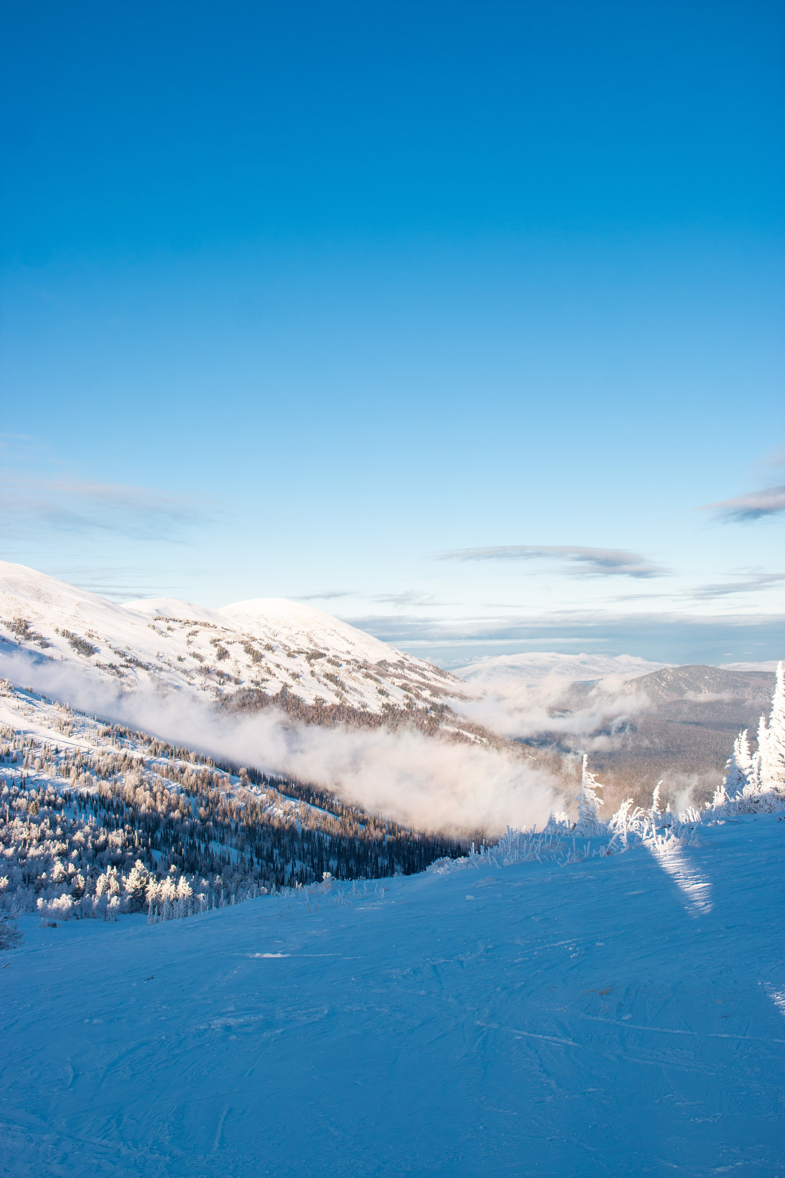 Татьяна и Иван. Свадебный и семейный фотограф в Новокузнецке Иван Иванов