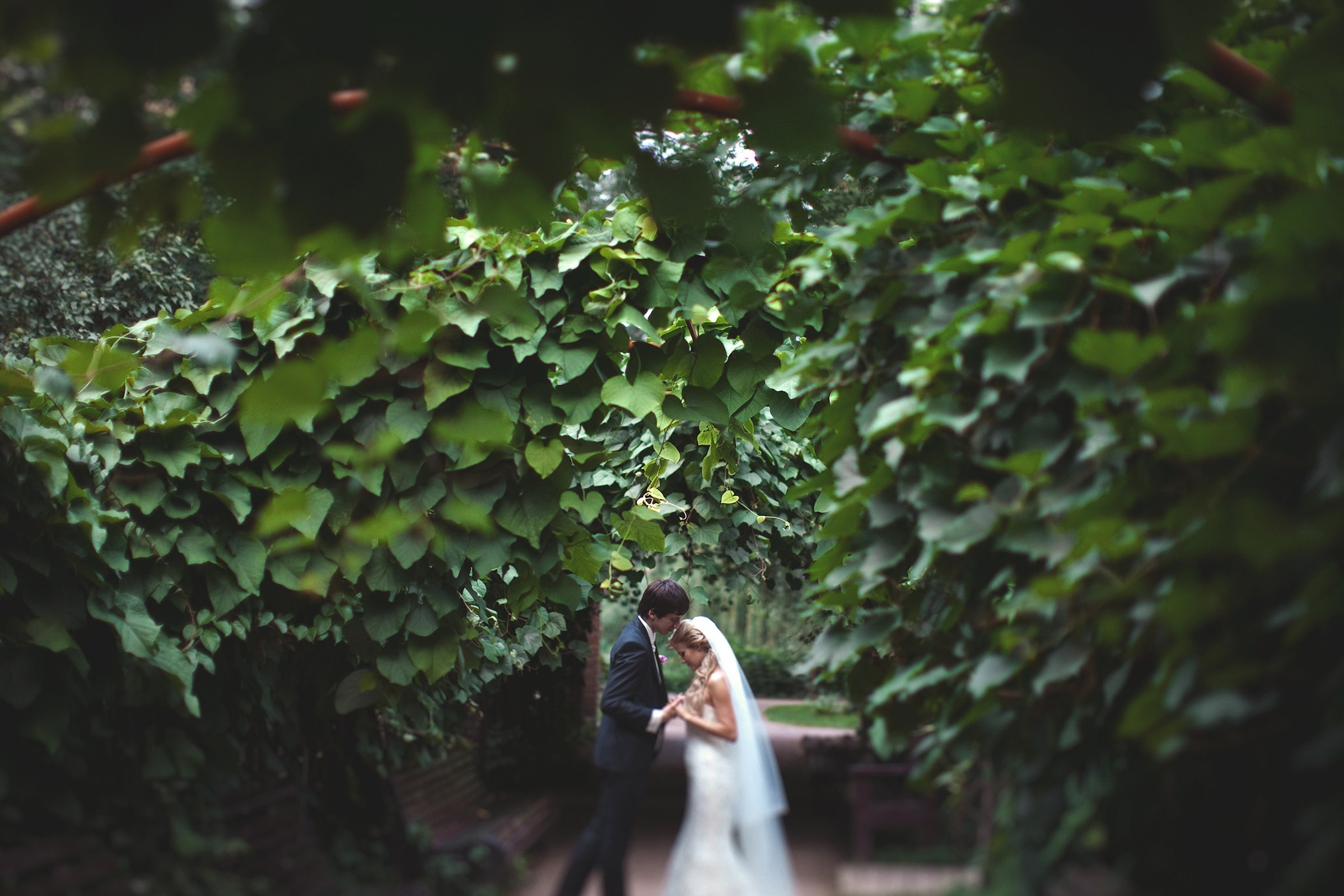 Свадебная фотография. Павел Иванов. Создание профессионального медиаконтента. Москва