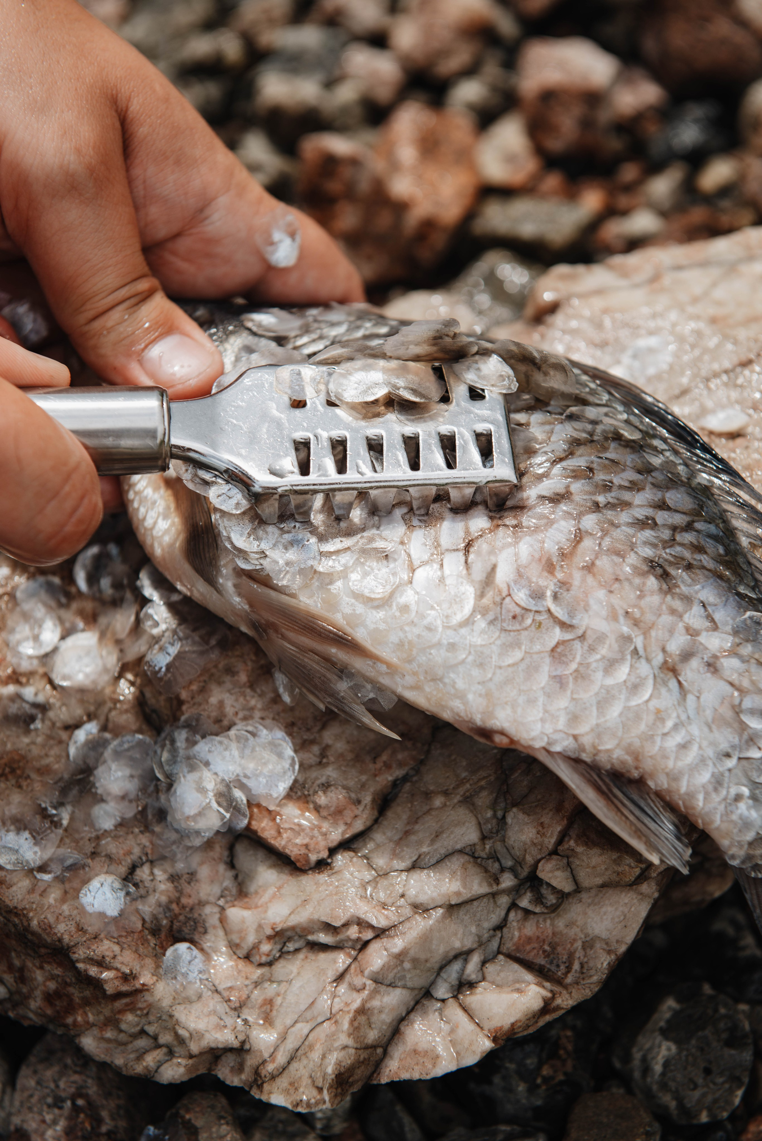 Каталог. Фотограф Фирсанова Алина