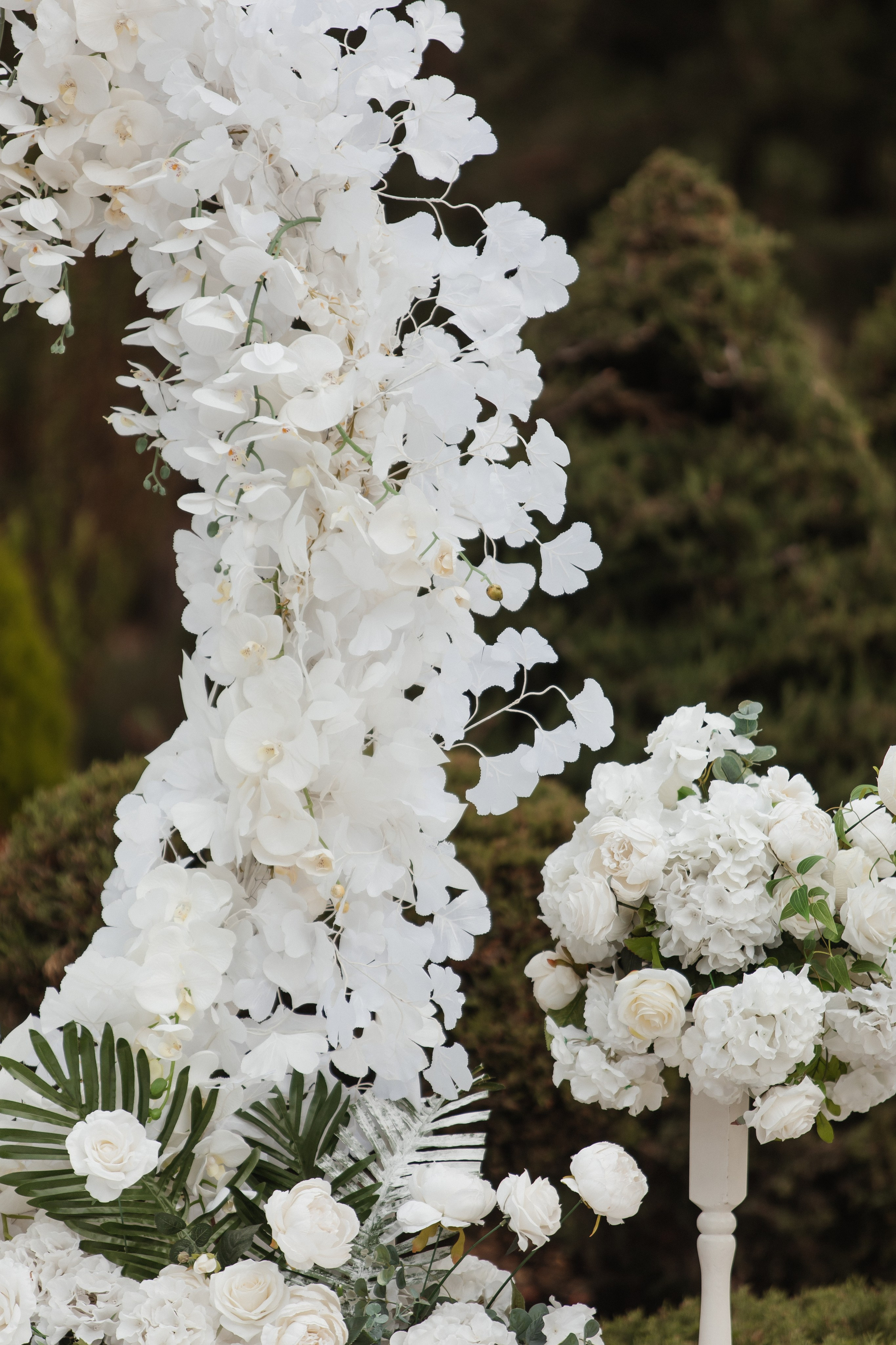 N&V. Фотограф Таганрог Хребет София