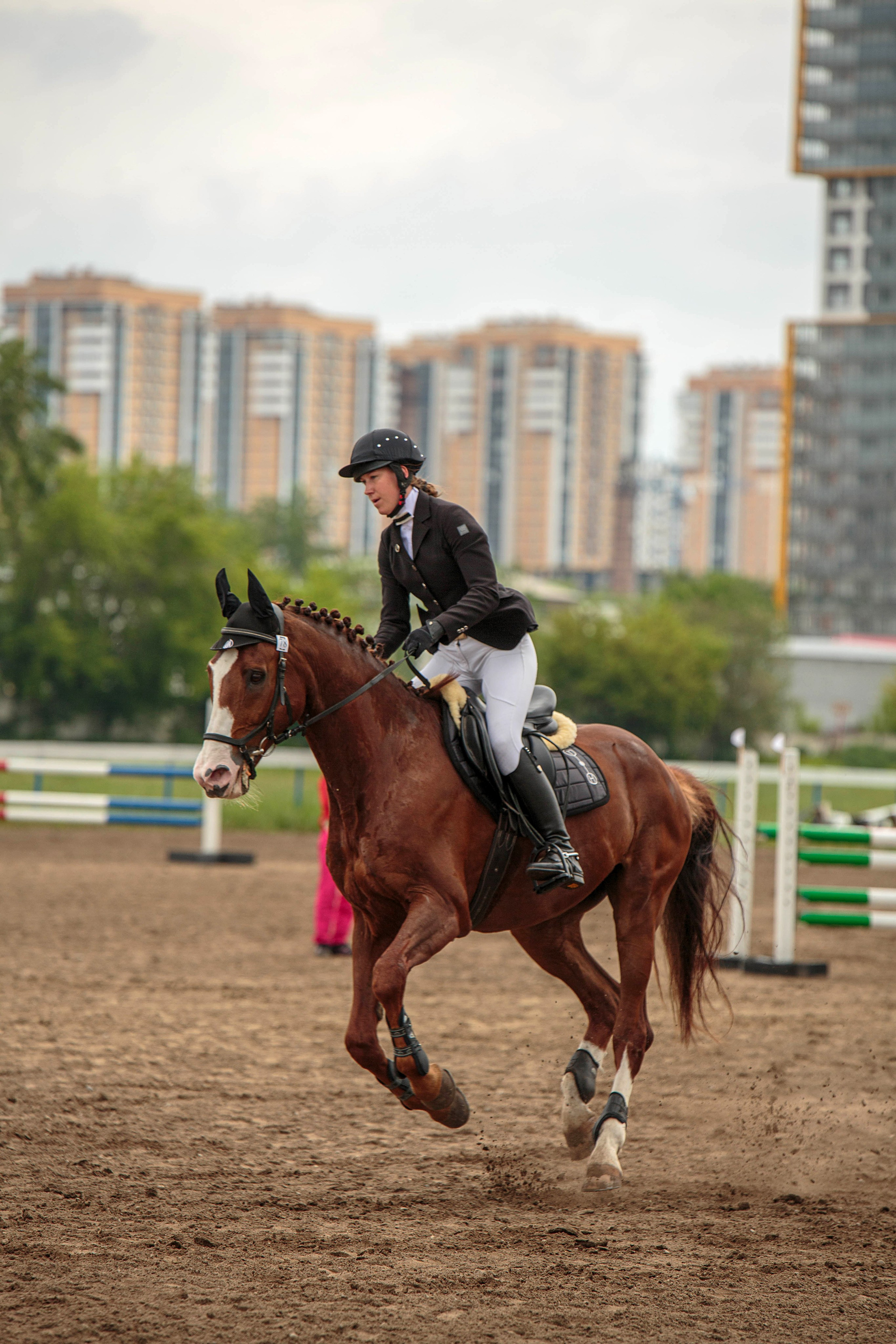 2024. Конный фотограф в Красноярске — Любовь Похабова