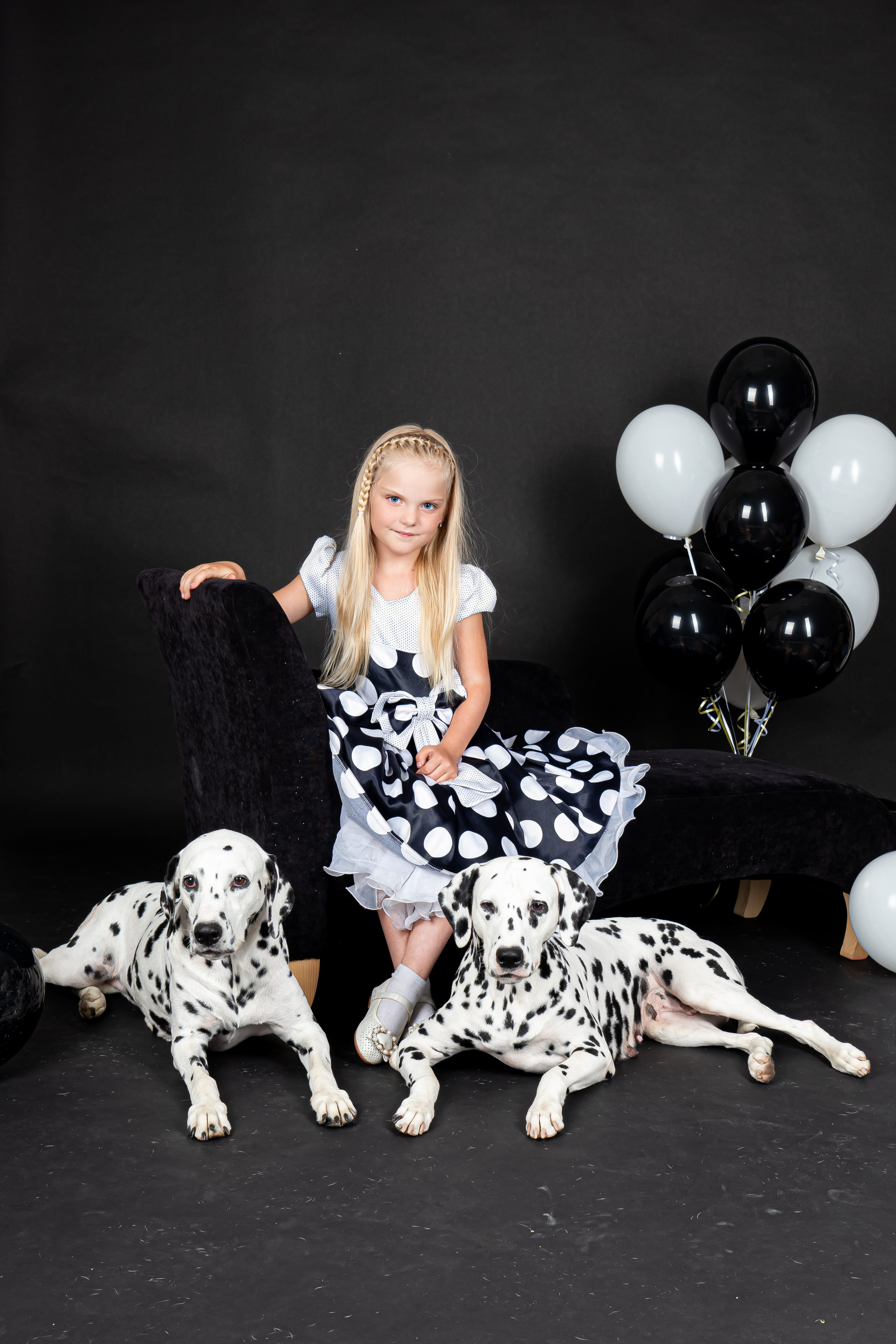 Далматины 2024. Фотограф на Камчатке Анна Моргачёва. Семейные и детские съёмки