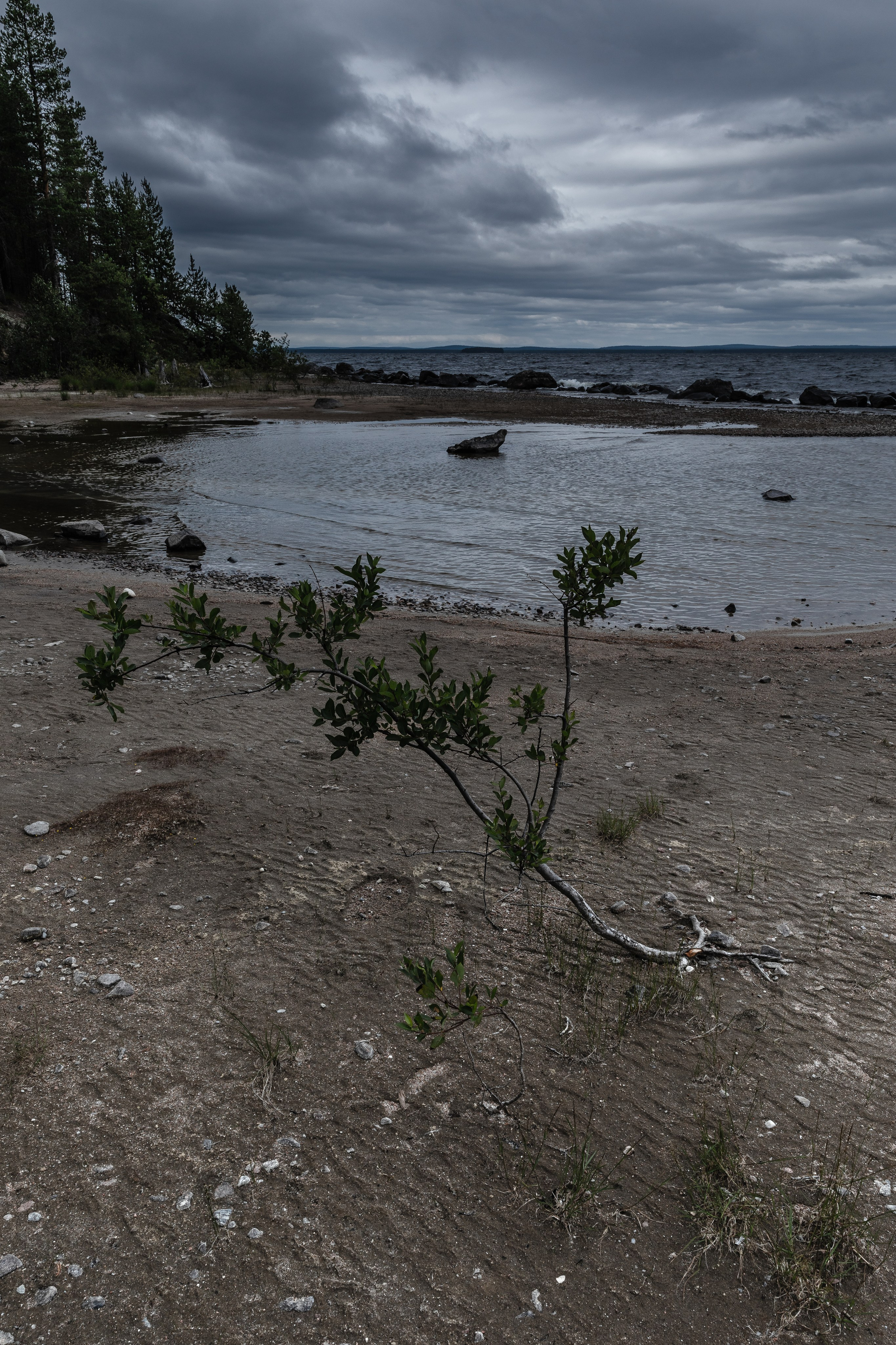 Оз. Колвицкое. Фотографии