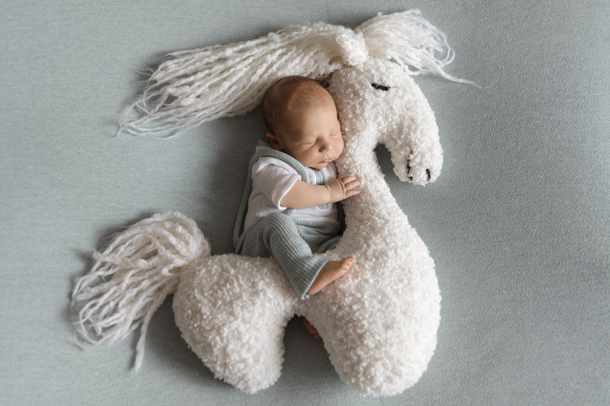 Корзинки и мягкие игрушки для фотосессии новорожденных фотограф Вета Ленская. Фотограф беременности и новорожденных в Красноярске Вета Ланская