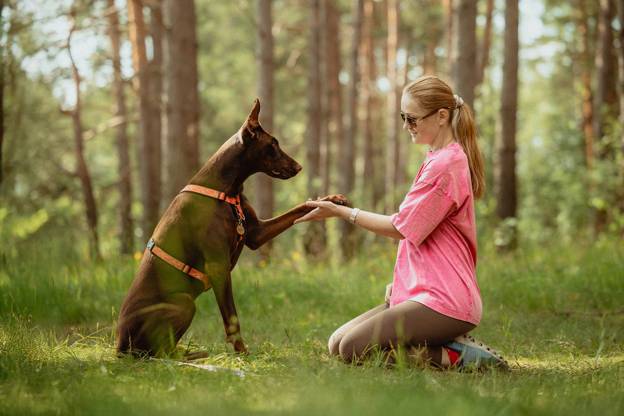 Выездной дог-тренинг от школы «Шерсть имею»