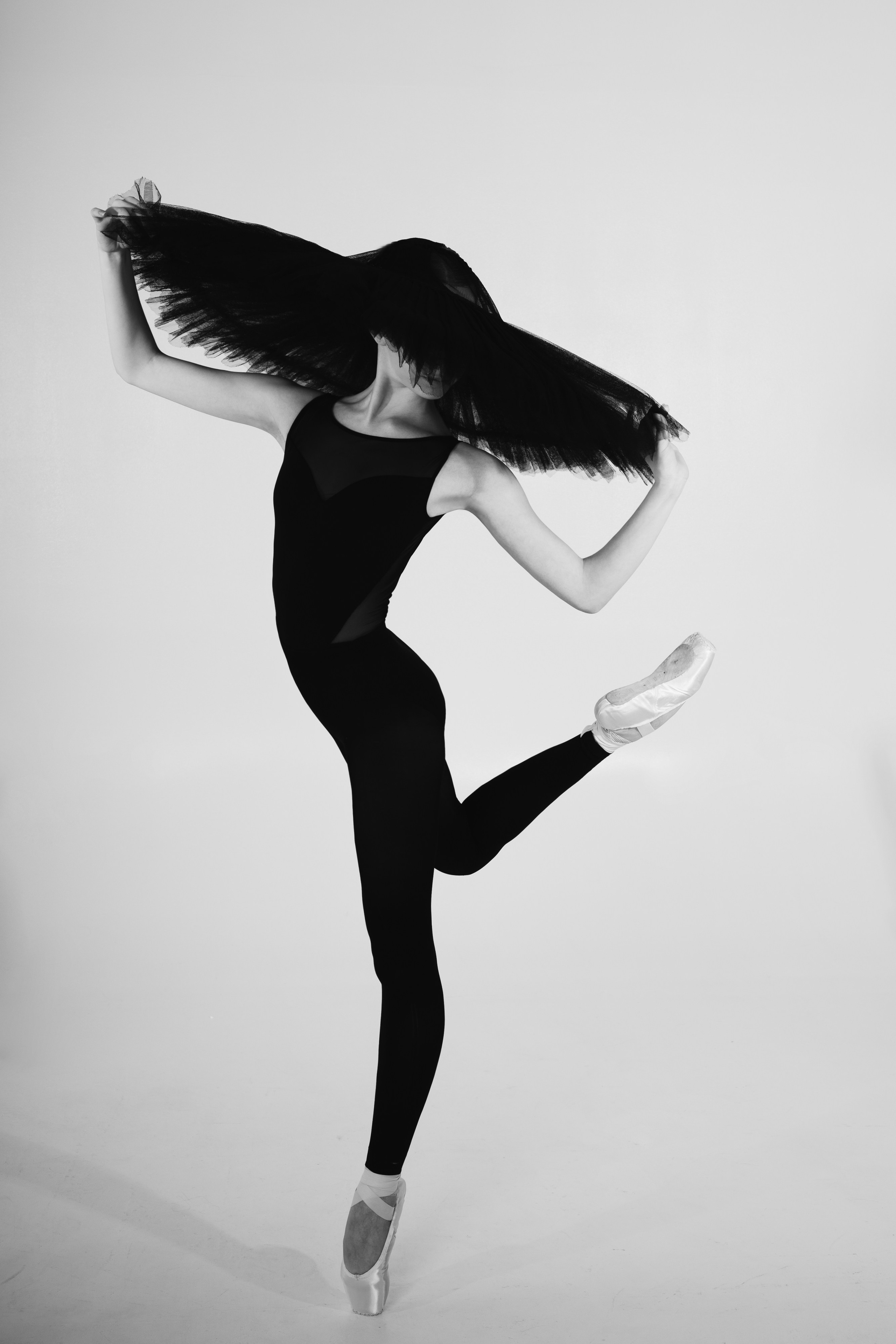 София. Свадебный и семейный фотограф в Новосибирске Дарья Кель