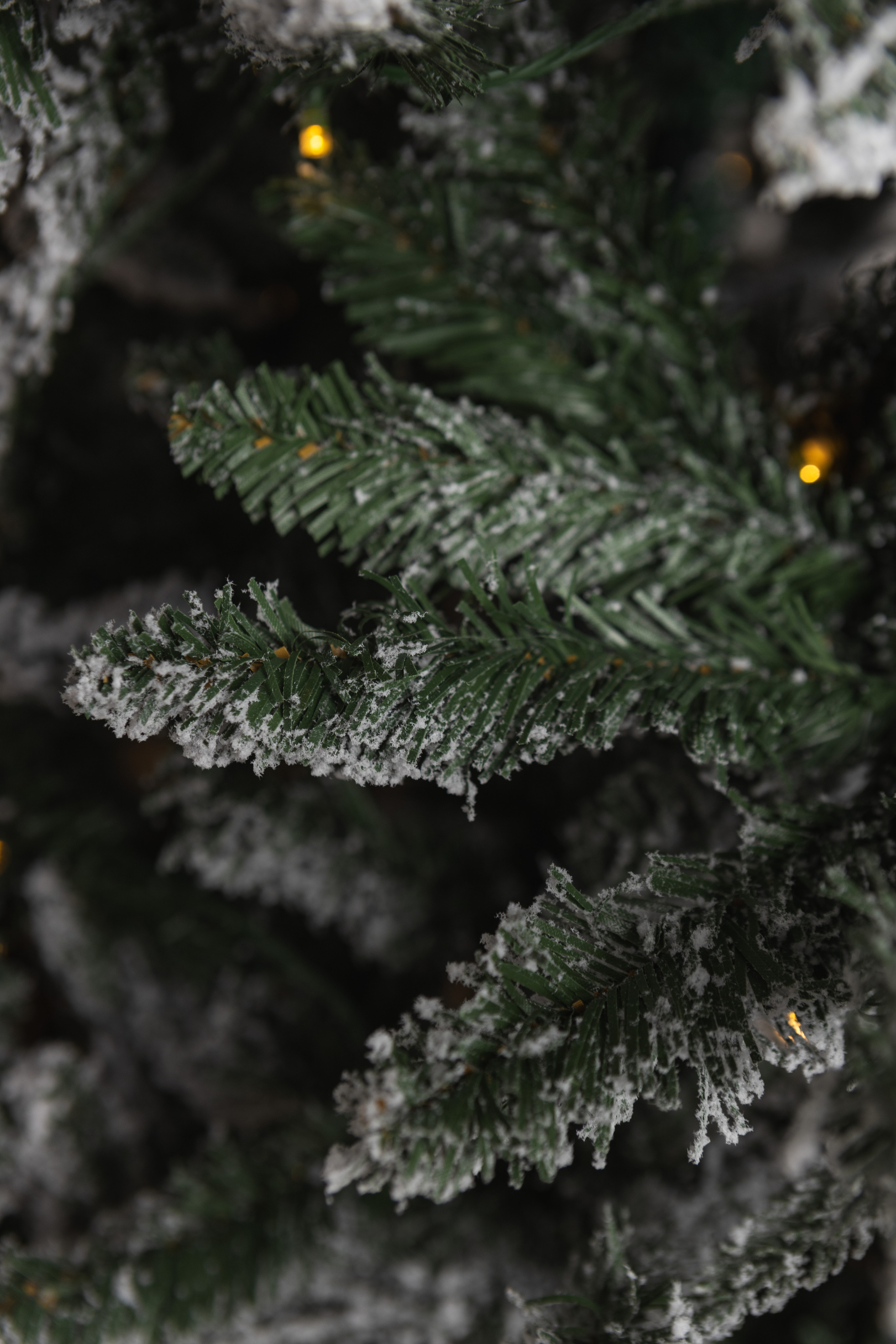 Елки. Фотограф Челябинск Эвелина Ганага, съемка для бизнеса и маркетплейсов