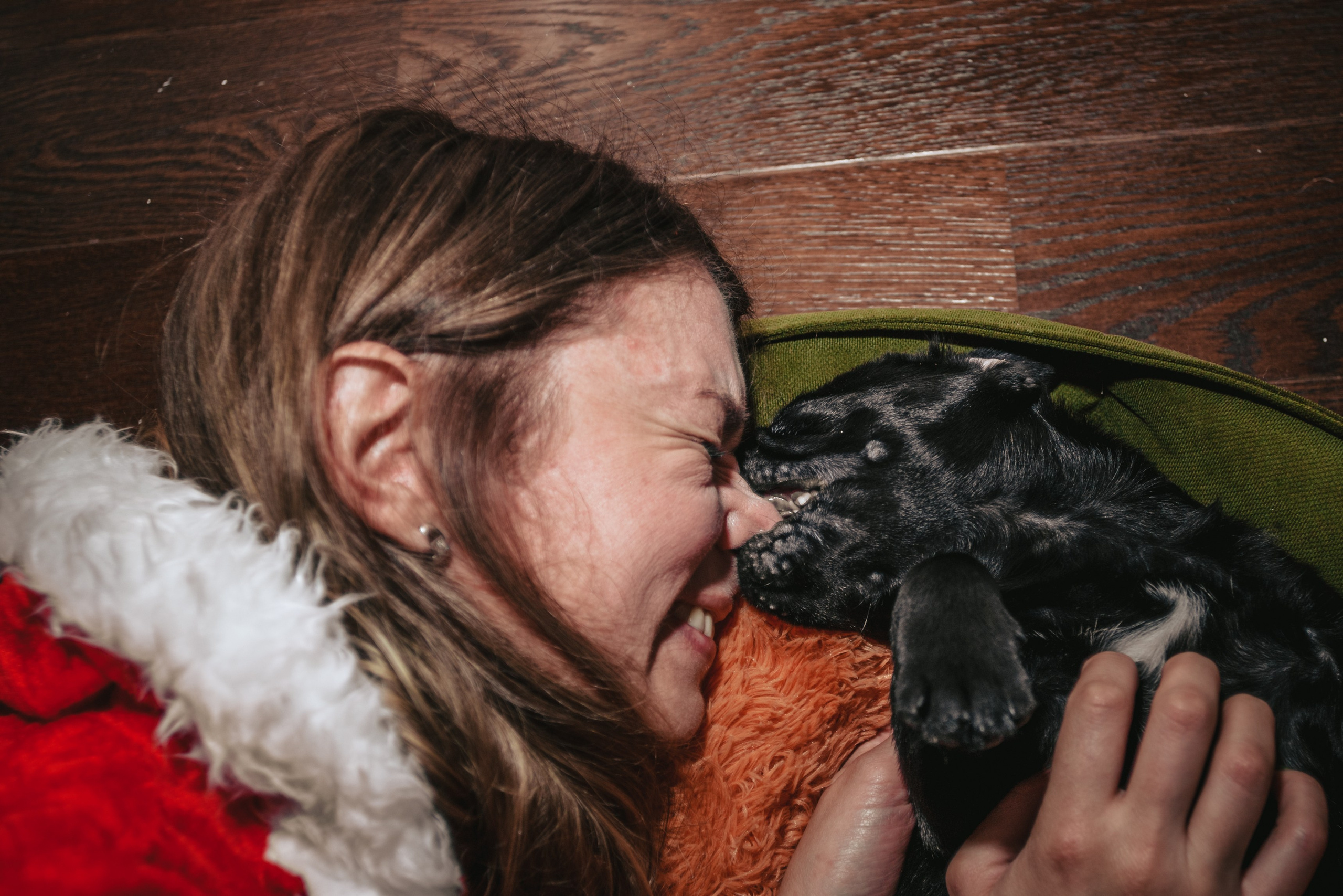 Домашняя фотосессия Оли и двух ее мопсов. Фотограф-анималист Татьяна Степанова