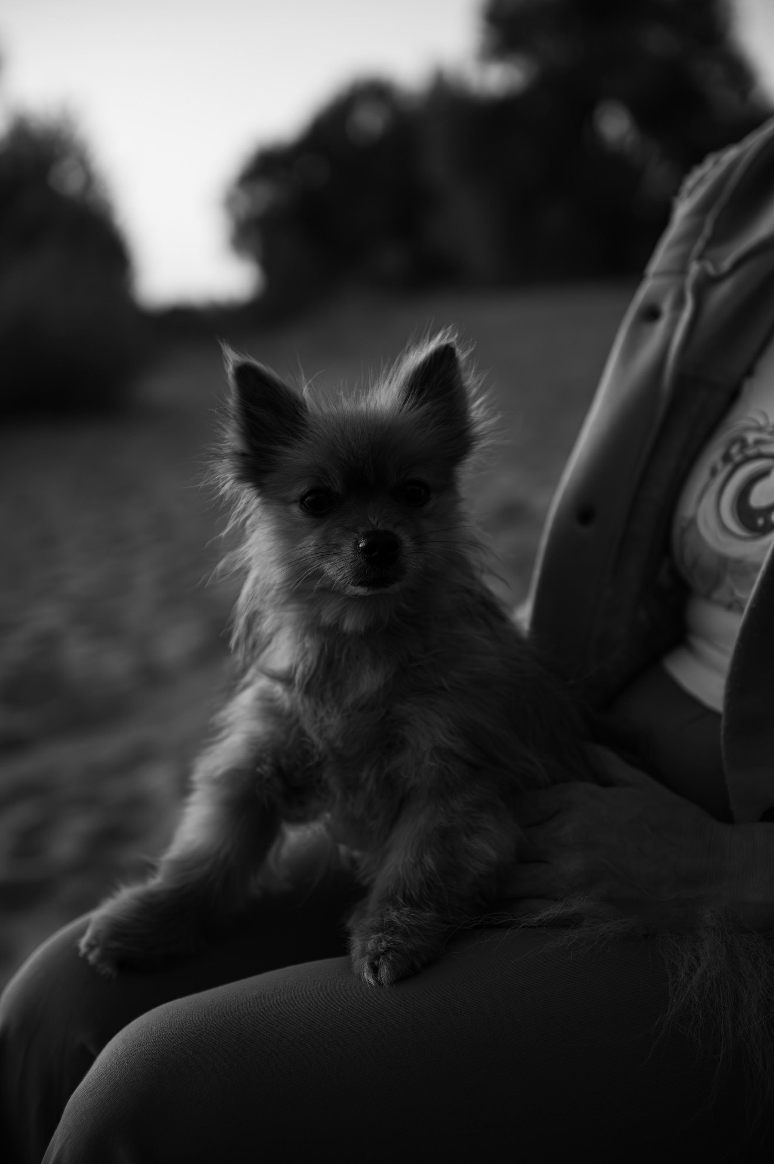 | Оксана & Александр |. Свадебный и портретный фотограф в Казани