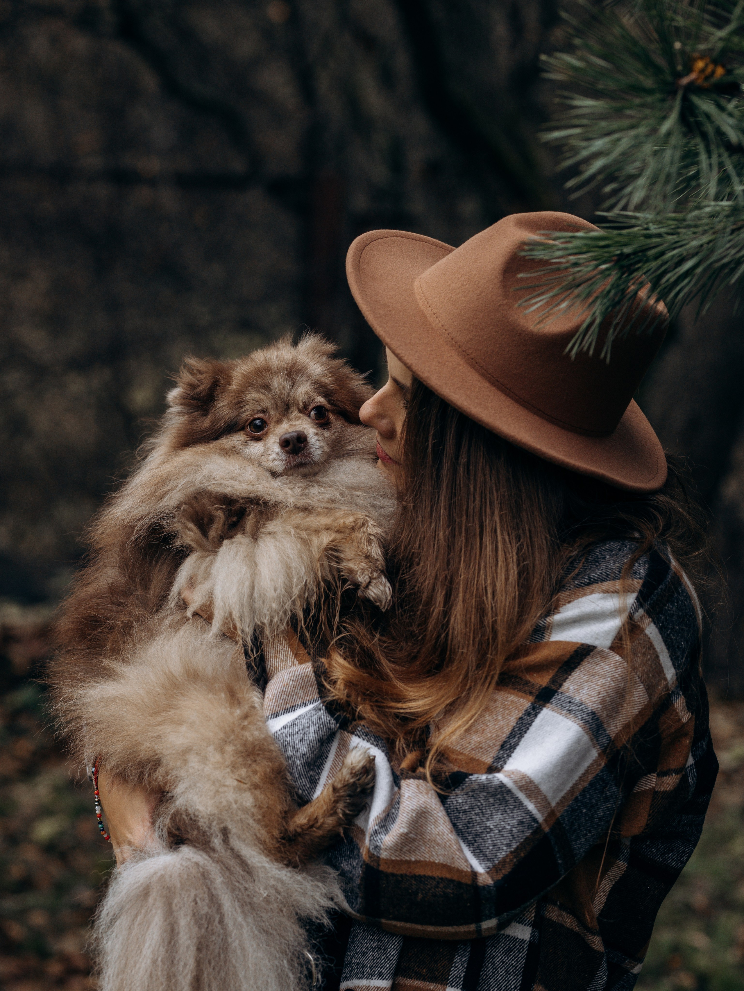 Скай, Марти и Катя. Фотограф-анималист в Москве Кириллова Татьяна