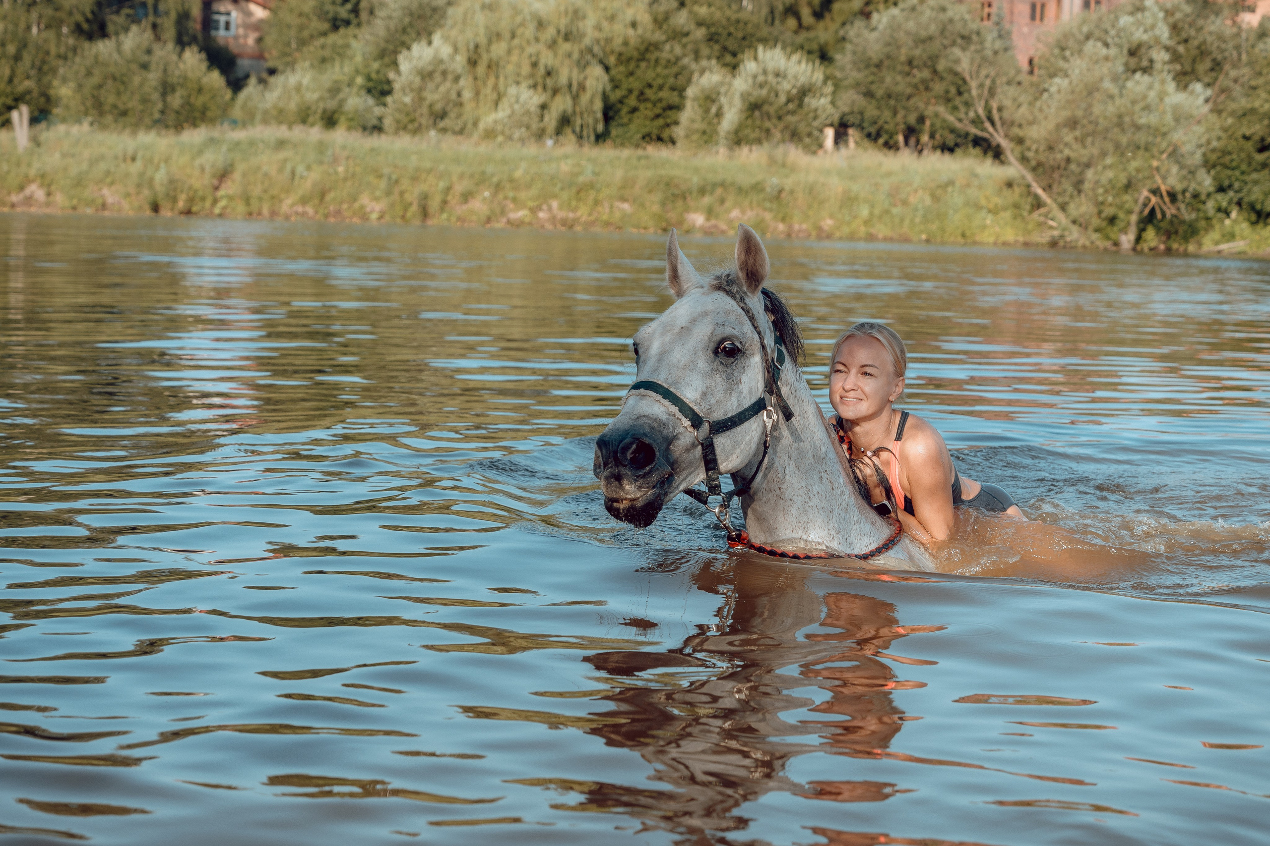 Купание лошадей 05.07.2024. Портретный и семейный фотограф в Москве/Видное