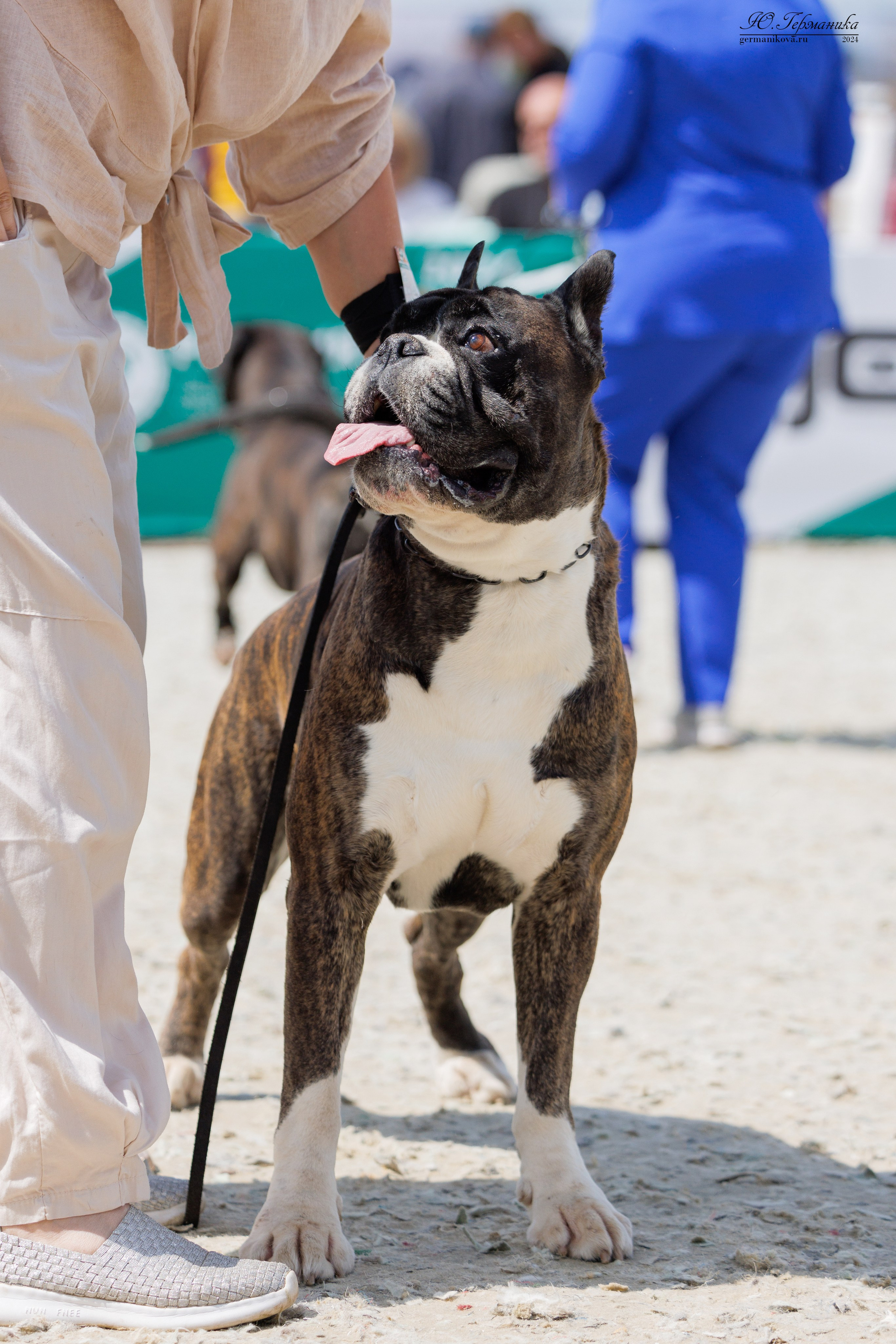 РОССИЯ 8-9.06.2024. Фотограф-анималист Юлия Германика