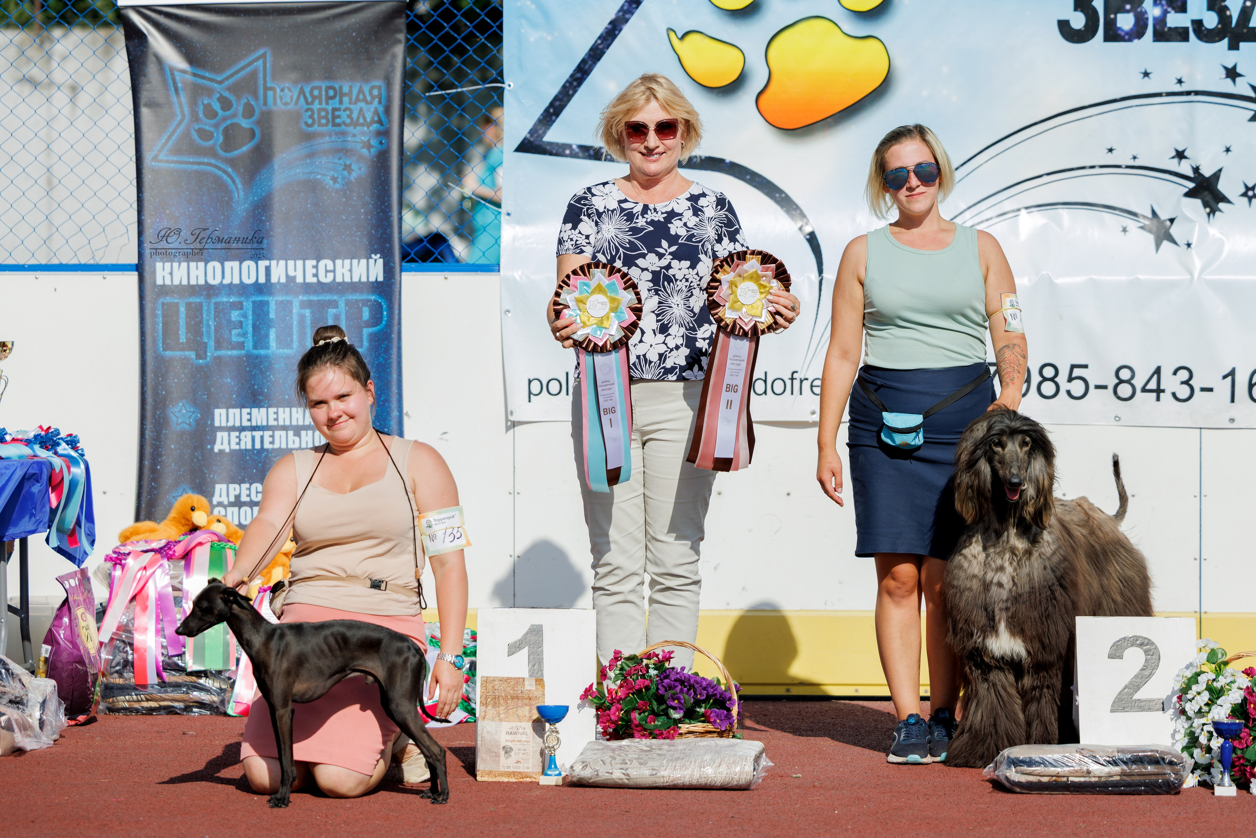 Коломна 30.08.2025. Фотограф-анималист Юлия Германика