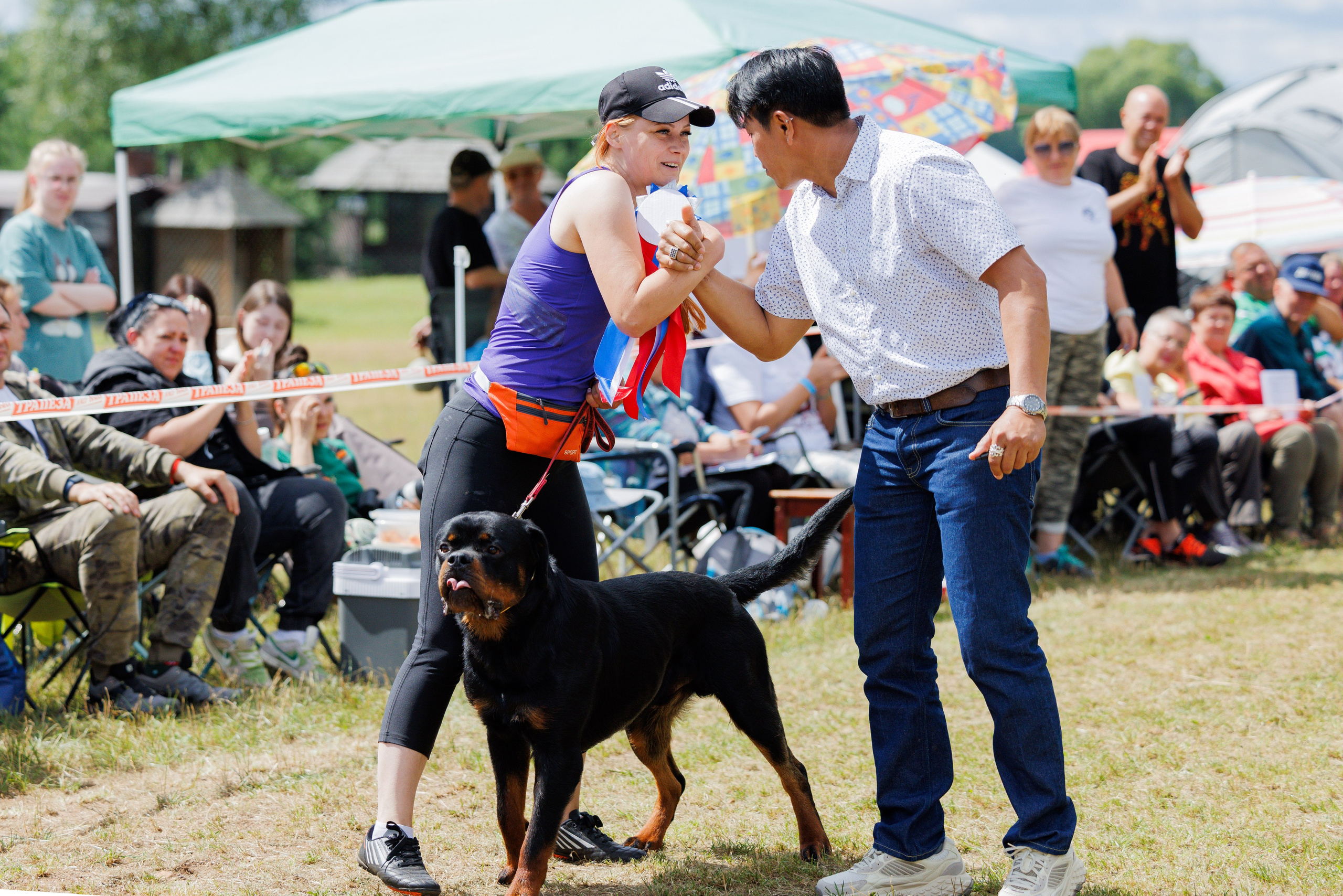 ПК и КЧК ротвейлеры Тверь 6-7.07.2024. Фотограф-анималист Юлия Германика