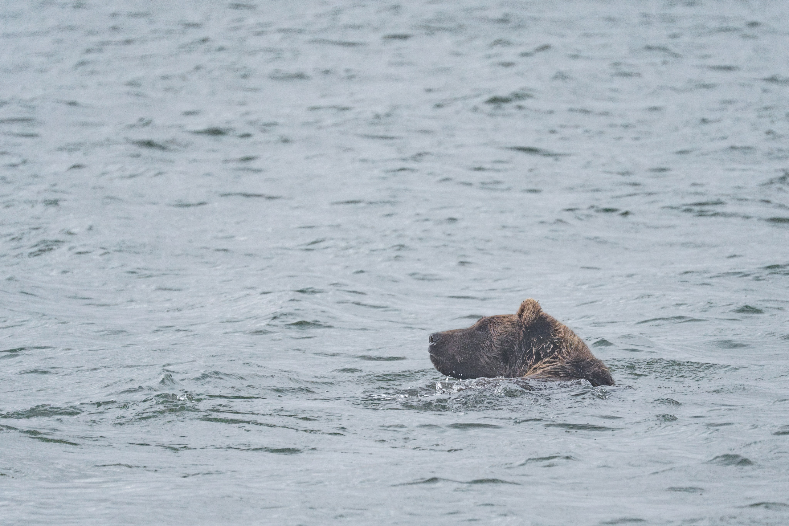 Чукотка. Gusarov Travel Photography