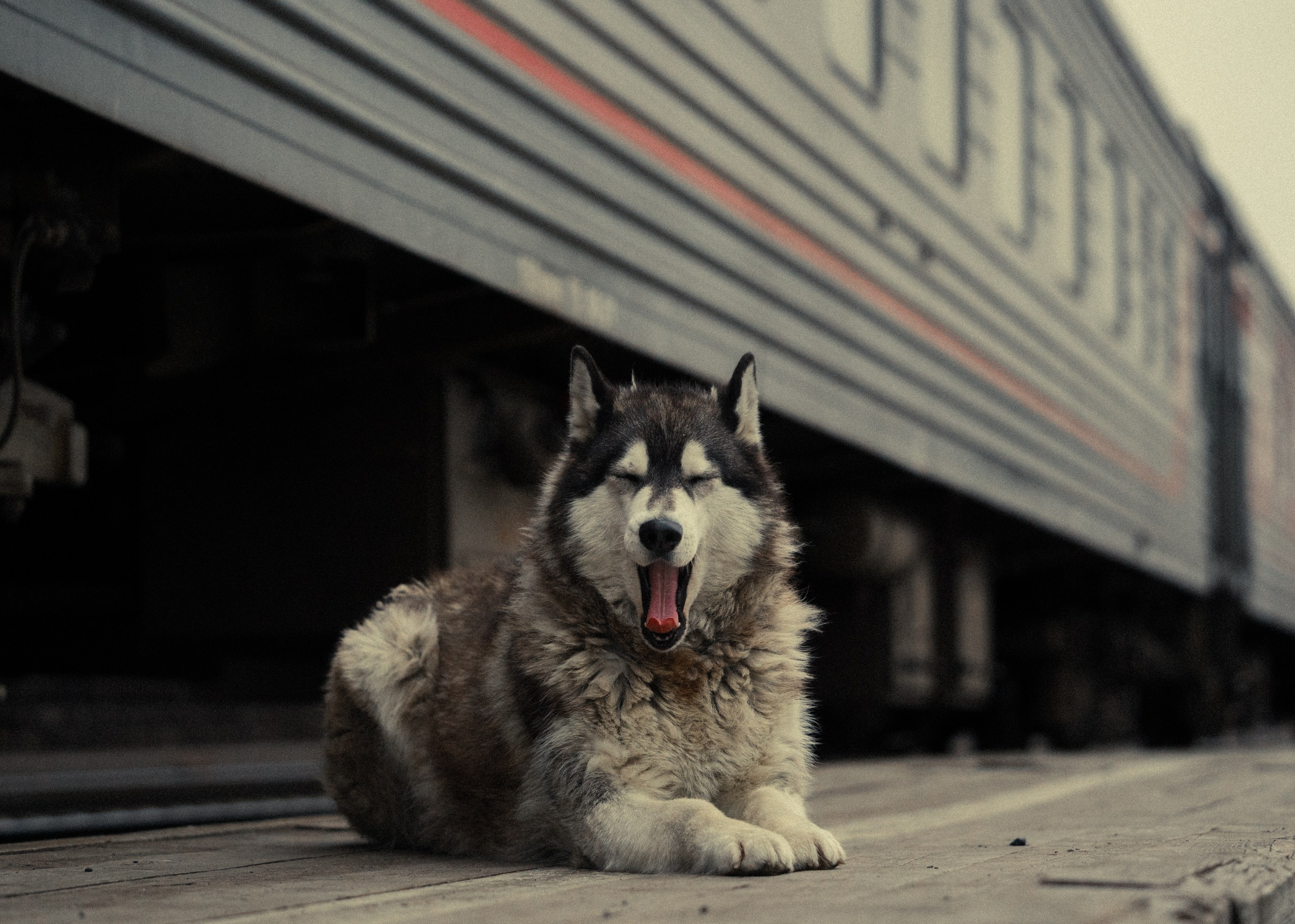 Уральские горы, Октябрь 2024