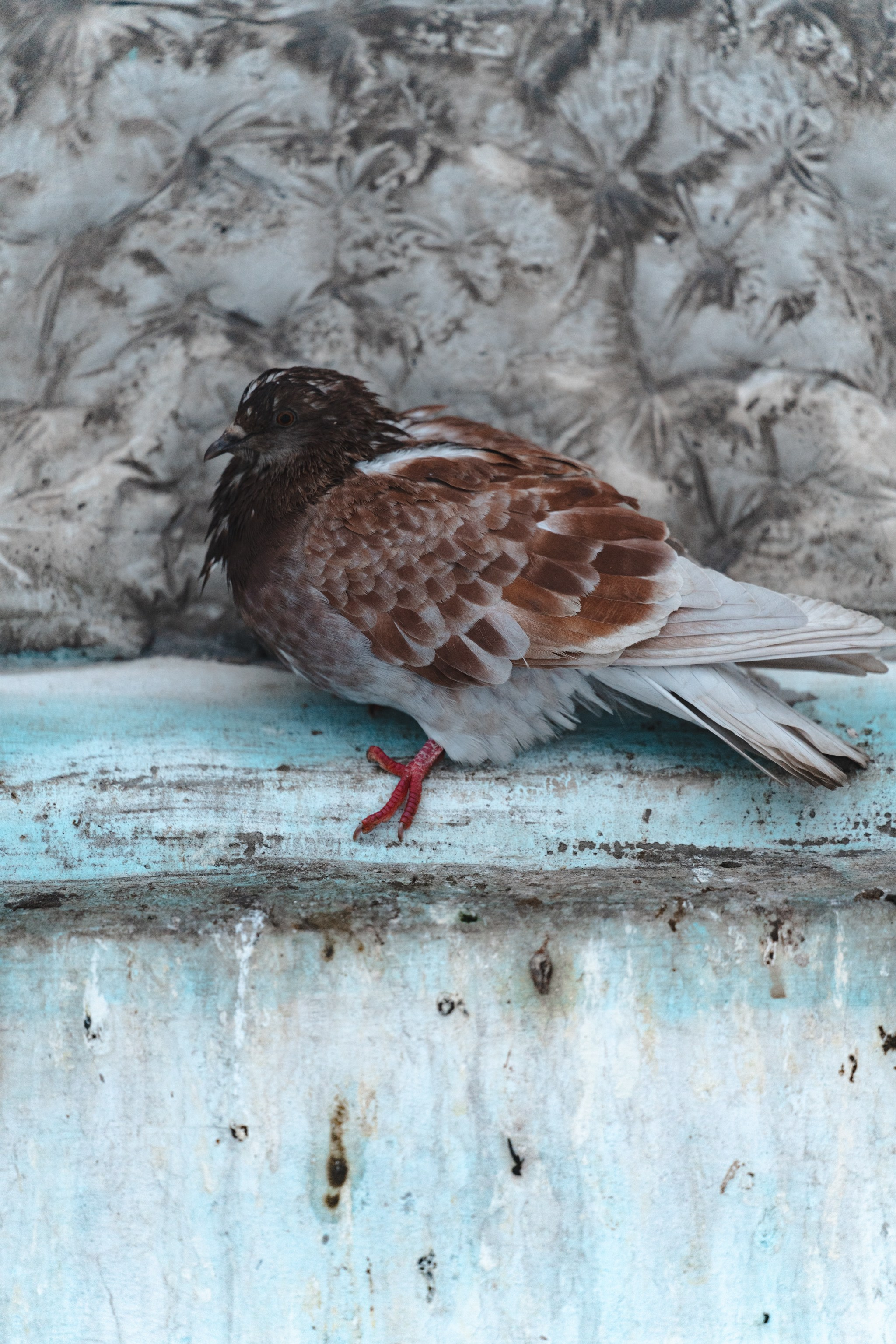 Воркута, Октябрь 2024